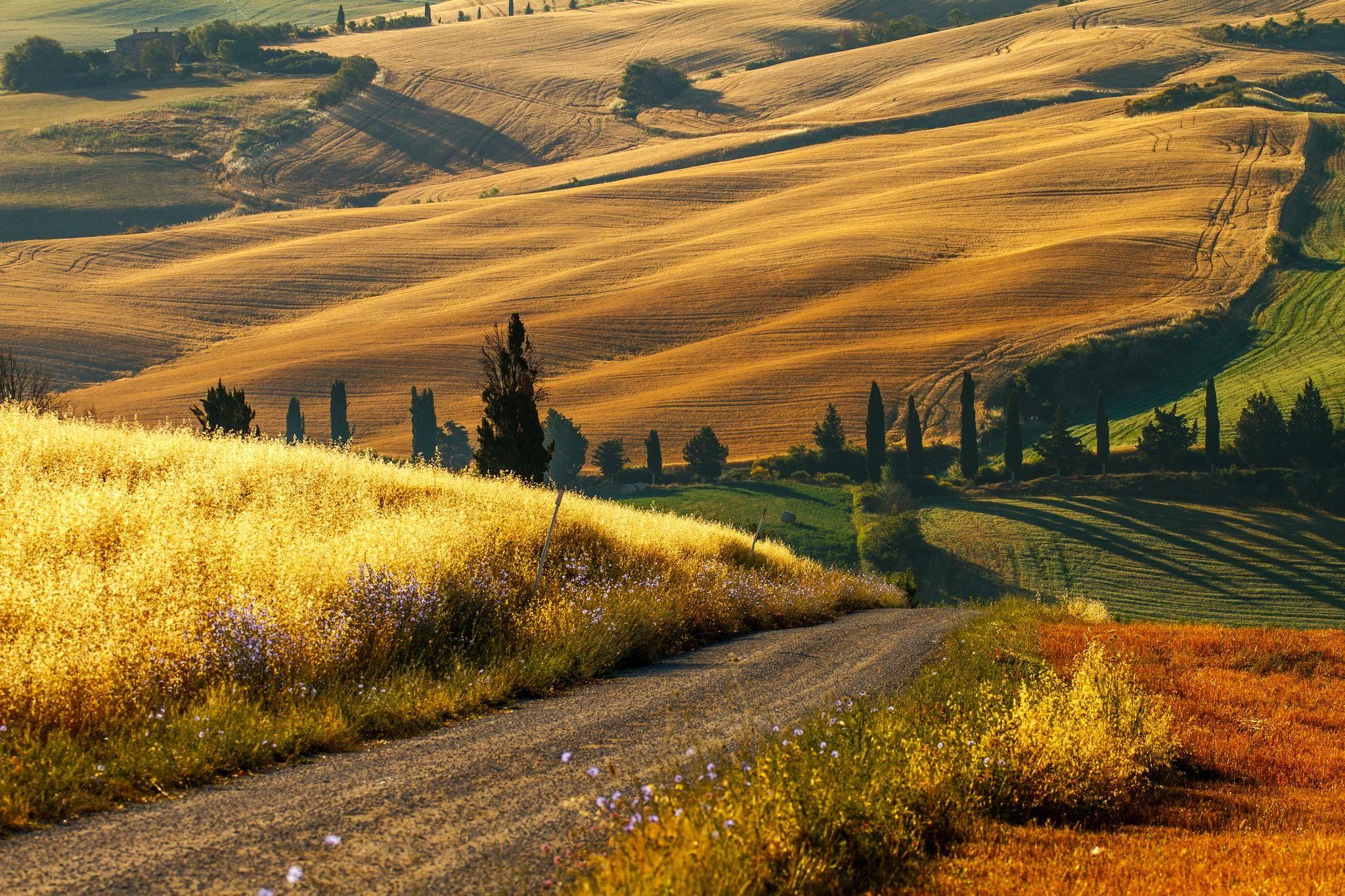 tuscany countryside