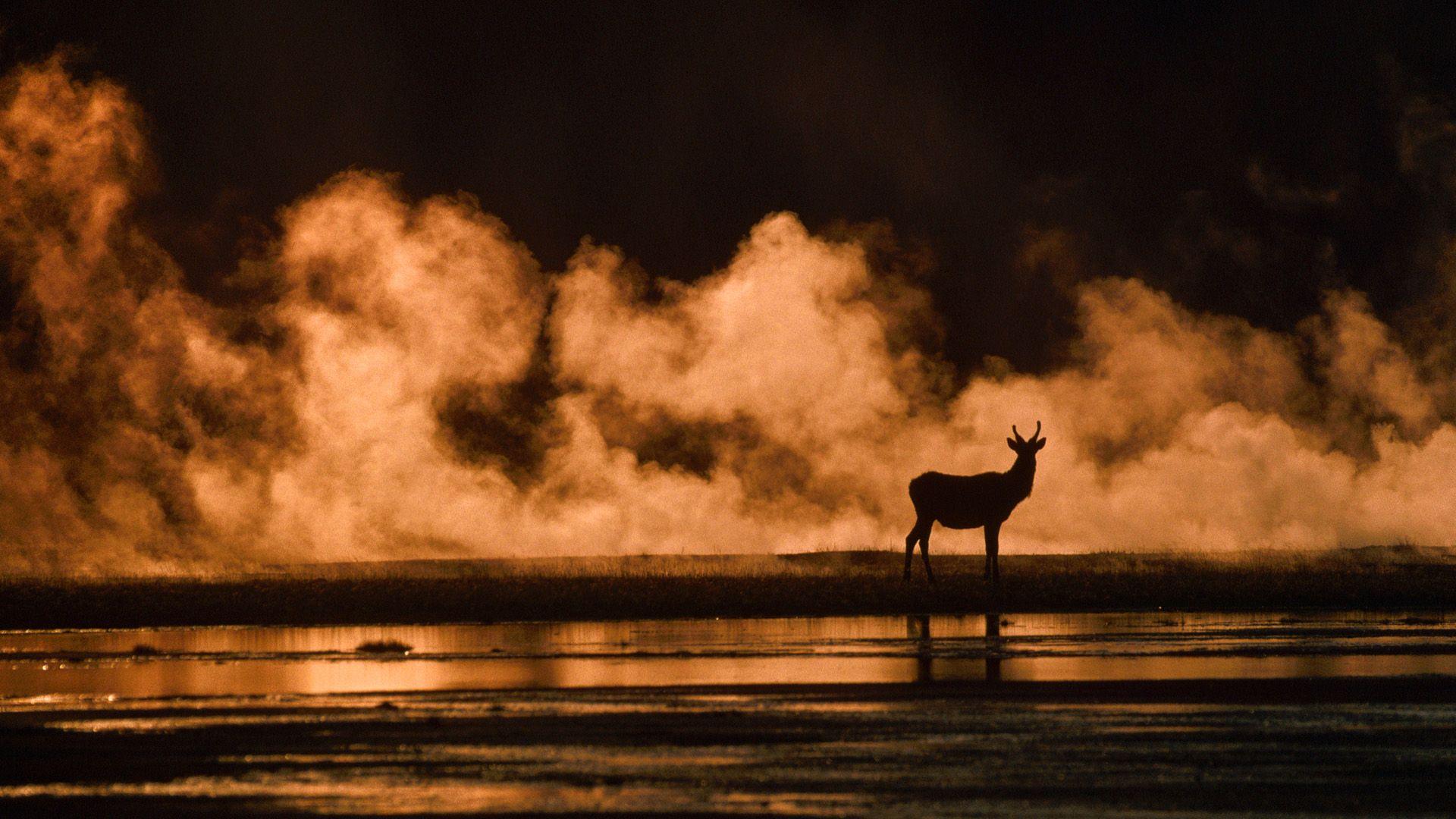 Stunning Wyoming