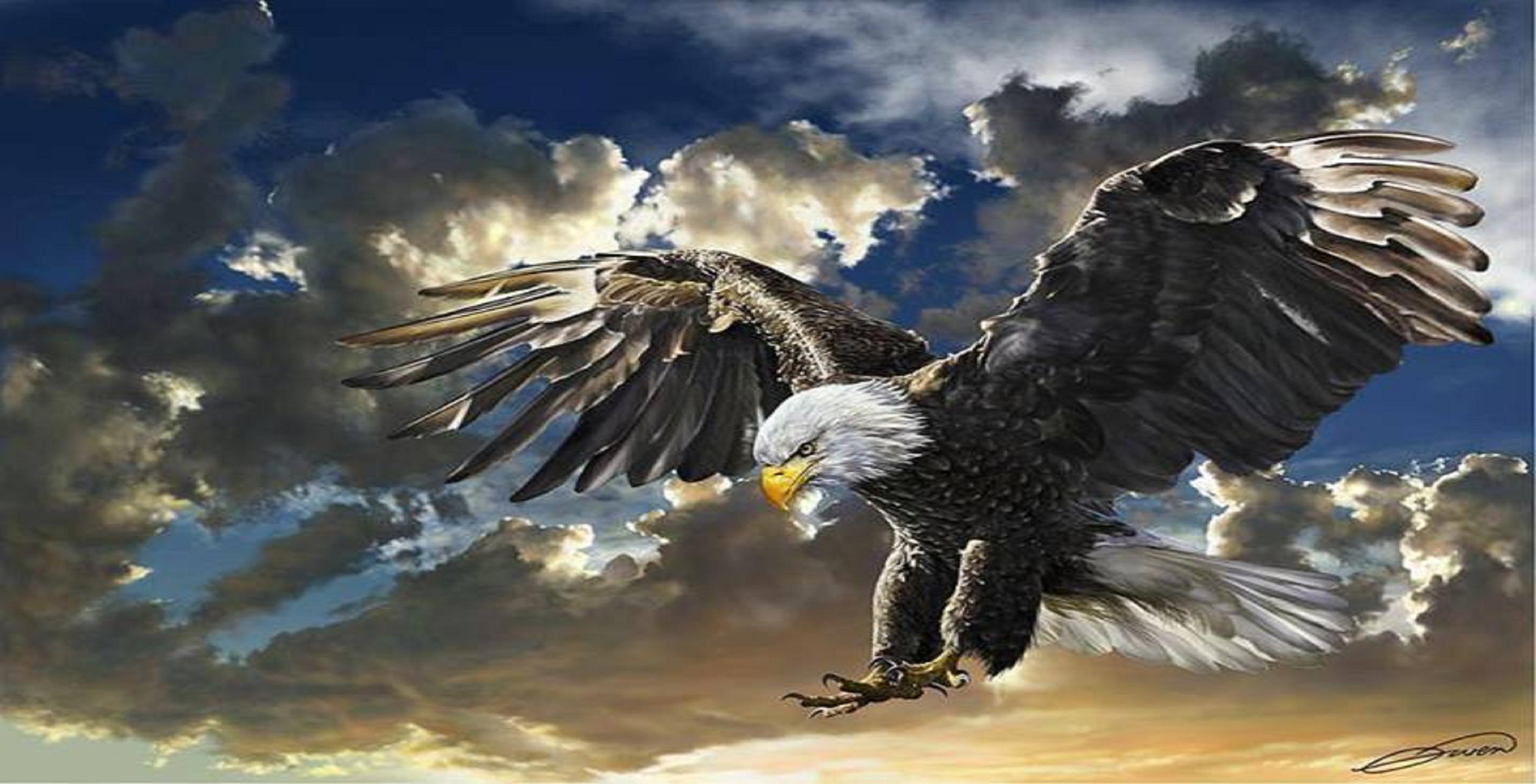 Eagle Desktop Wallpapers