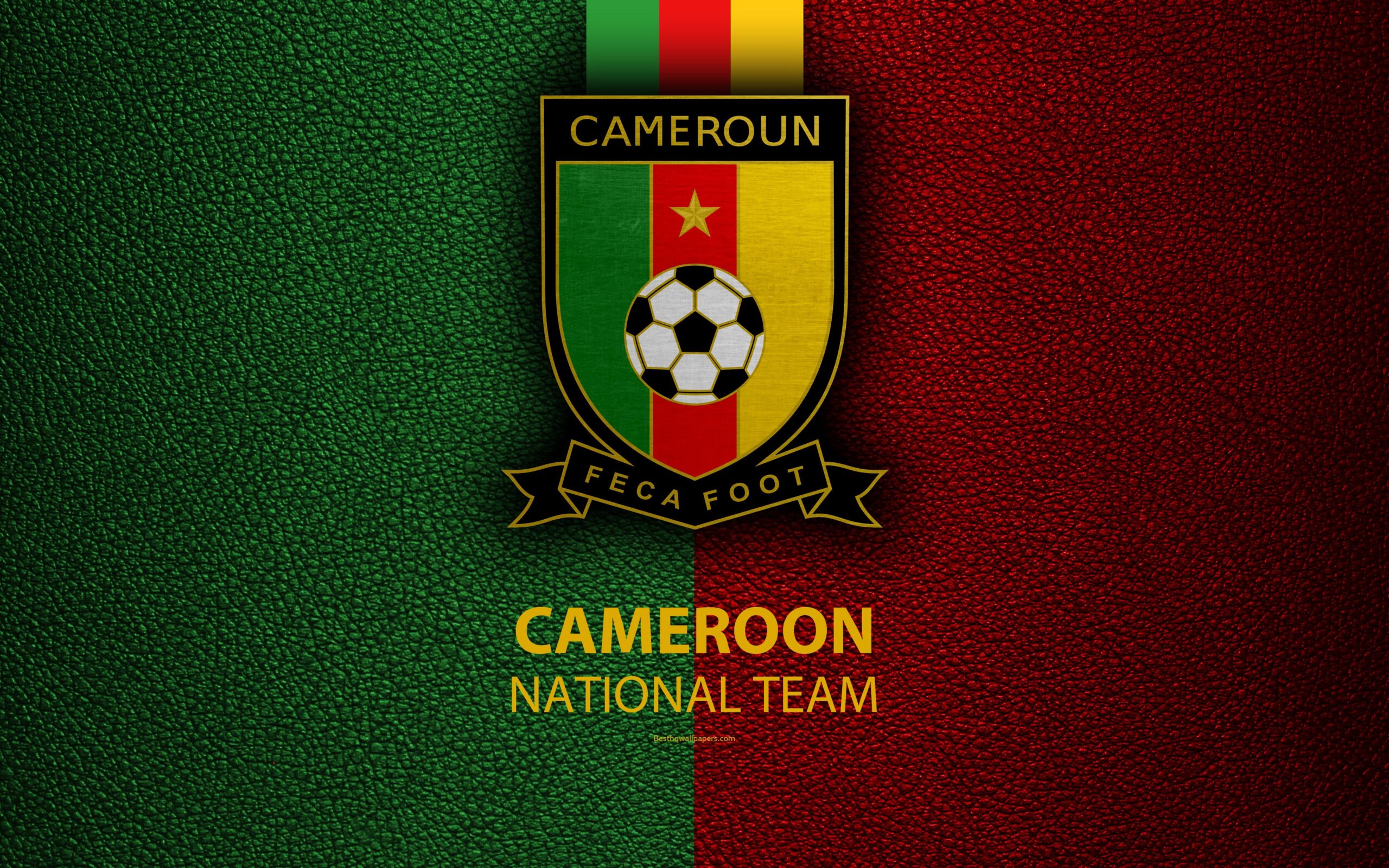 Download wallpapers Cameroon national football team, 4k, leather