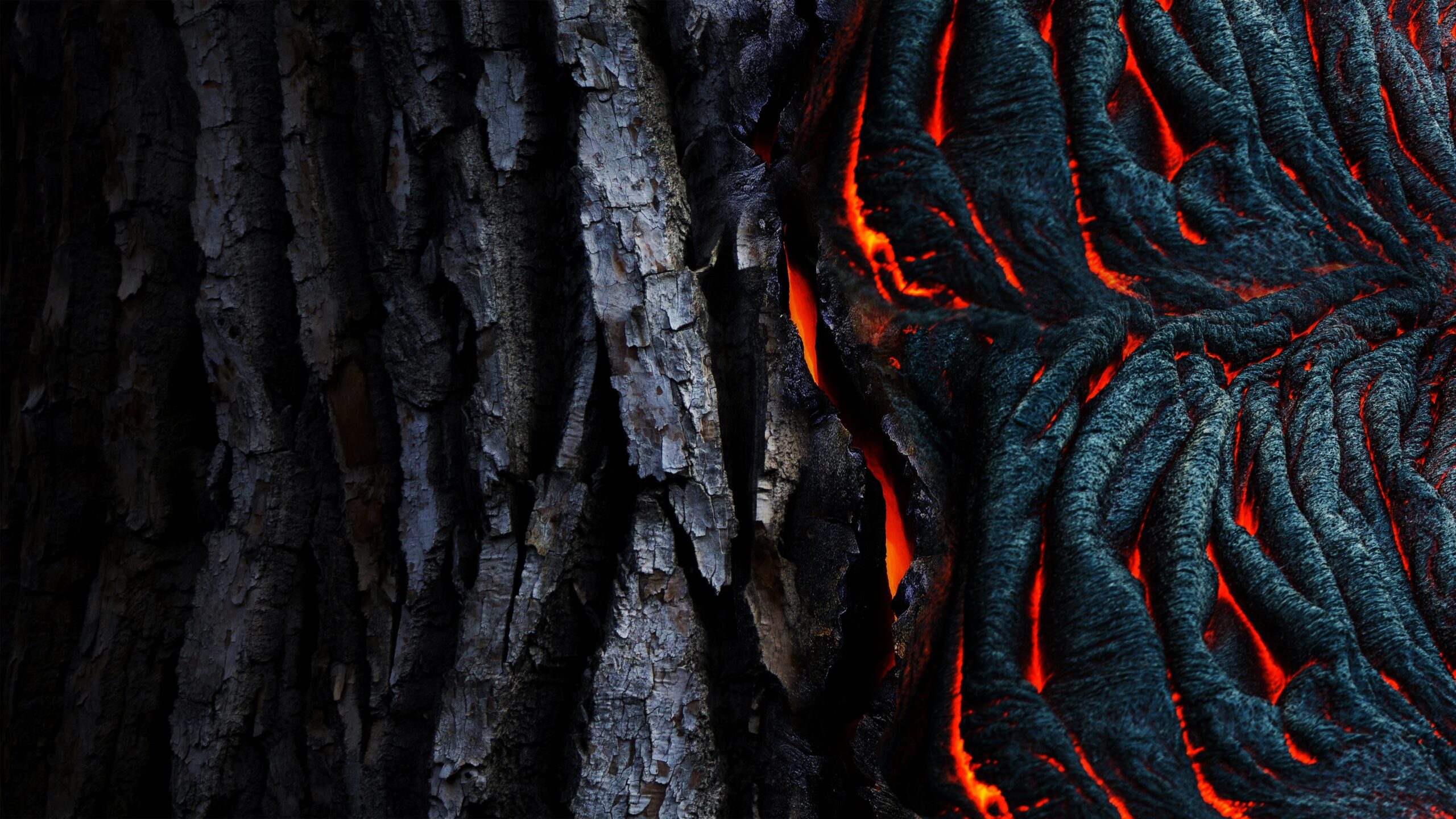 Photo of Dried Lava · Free Stock Photo