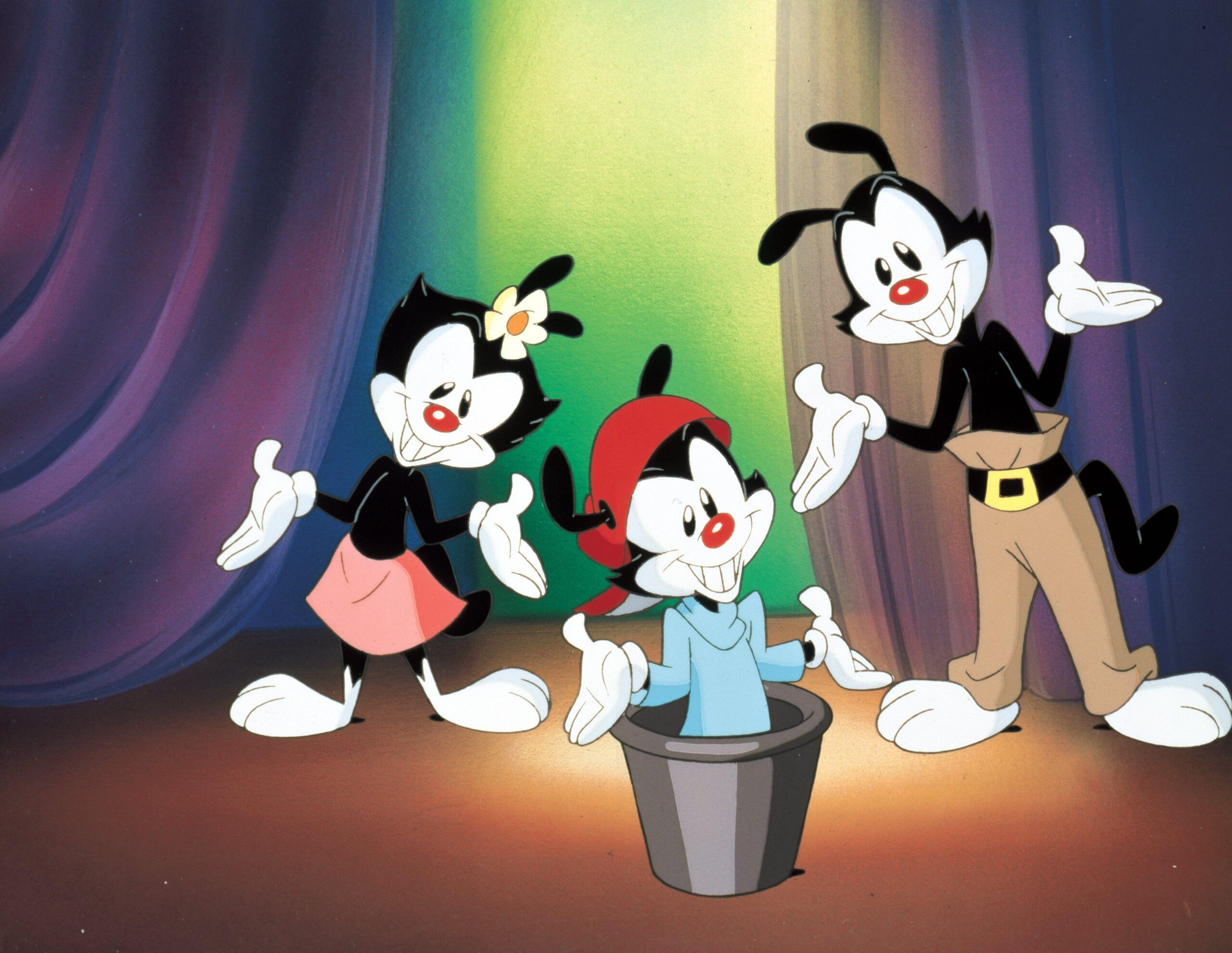 animaniacs wallpapers