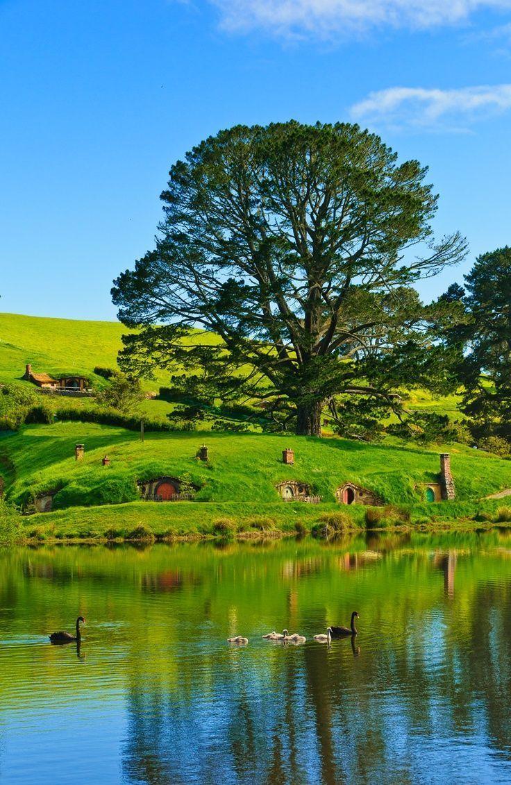 Hobbiton in New Zealand: Lovely Place of Hobbit Houses