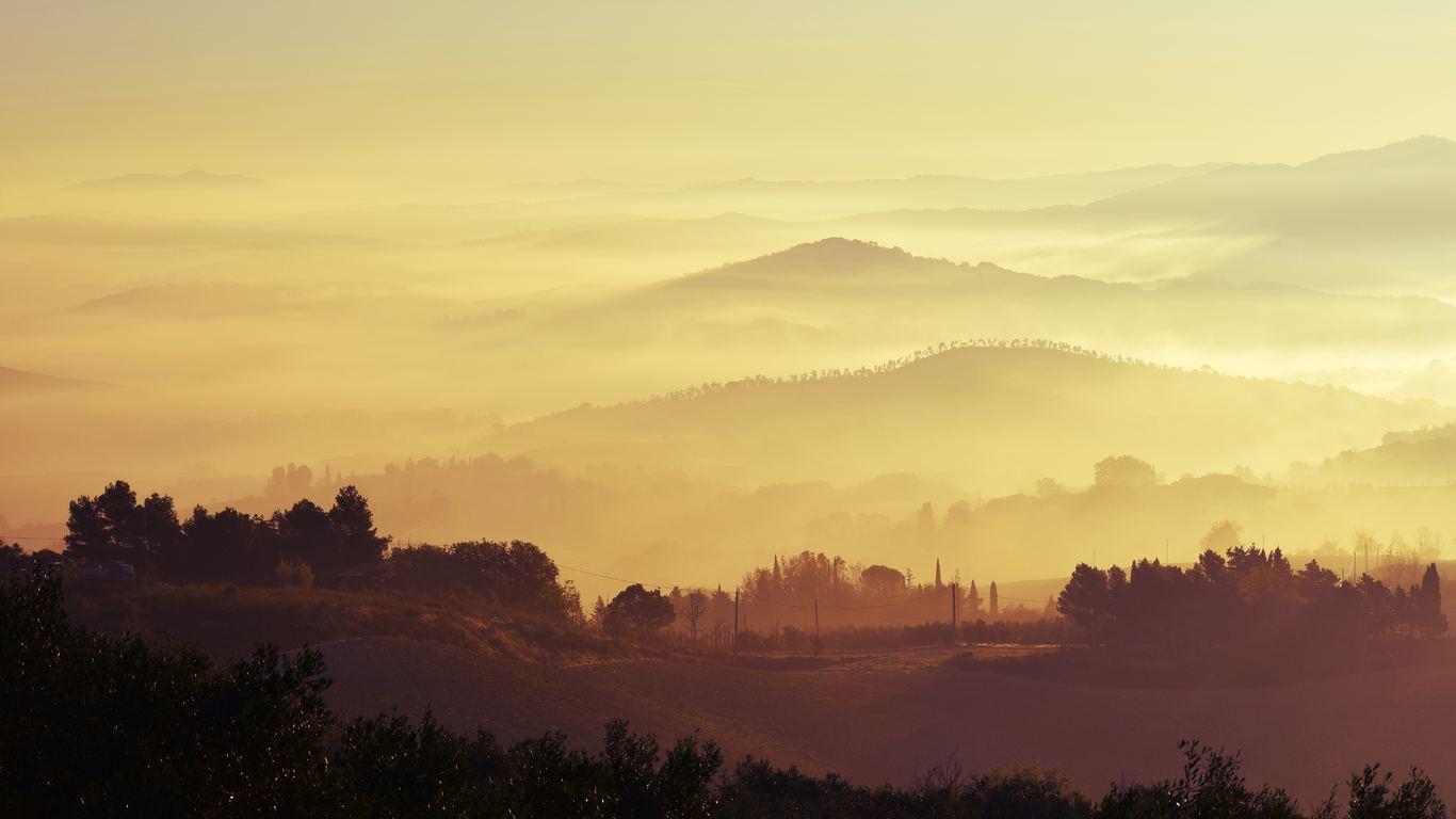 Landscape Mountain Range Trees Woodland Forest Mist Fog 5k