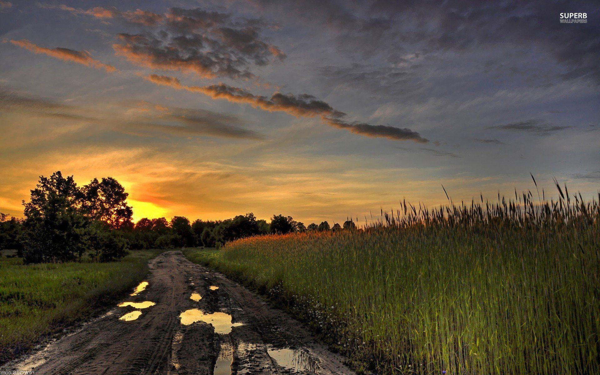 Muddy Road Wallpapers