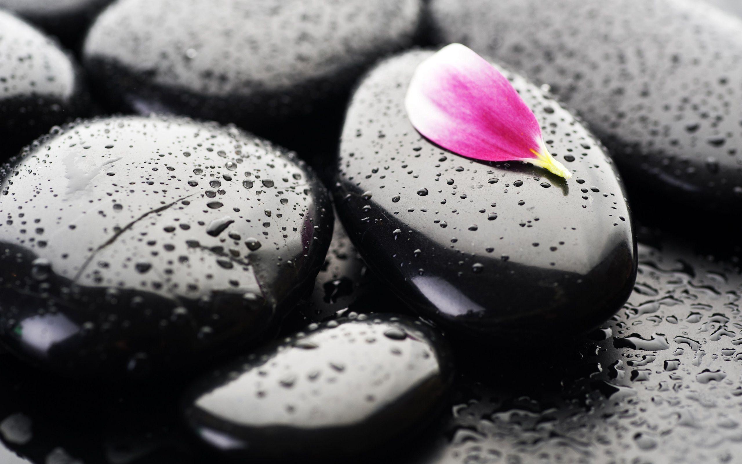 Zen Black Stones Macro Wallpapers