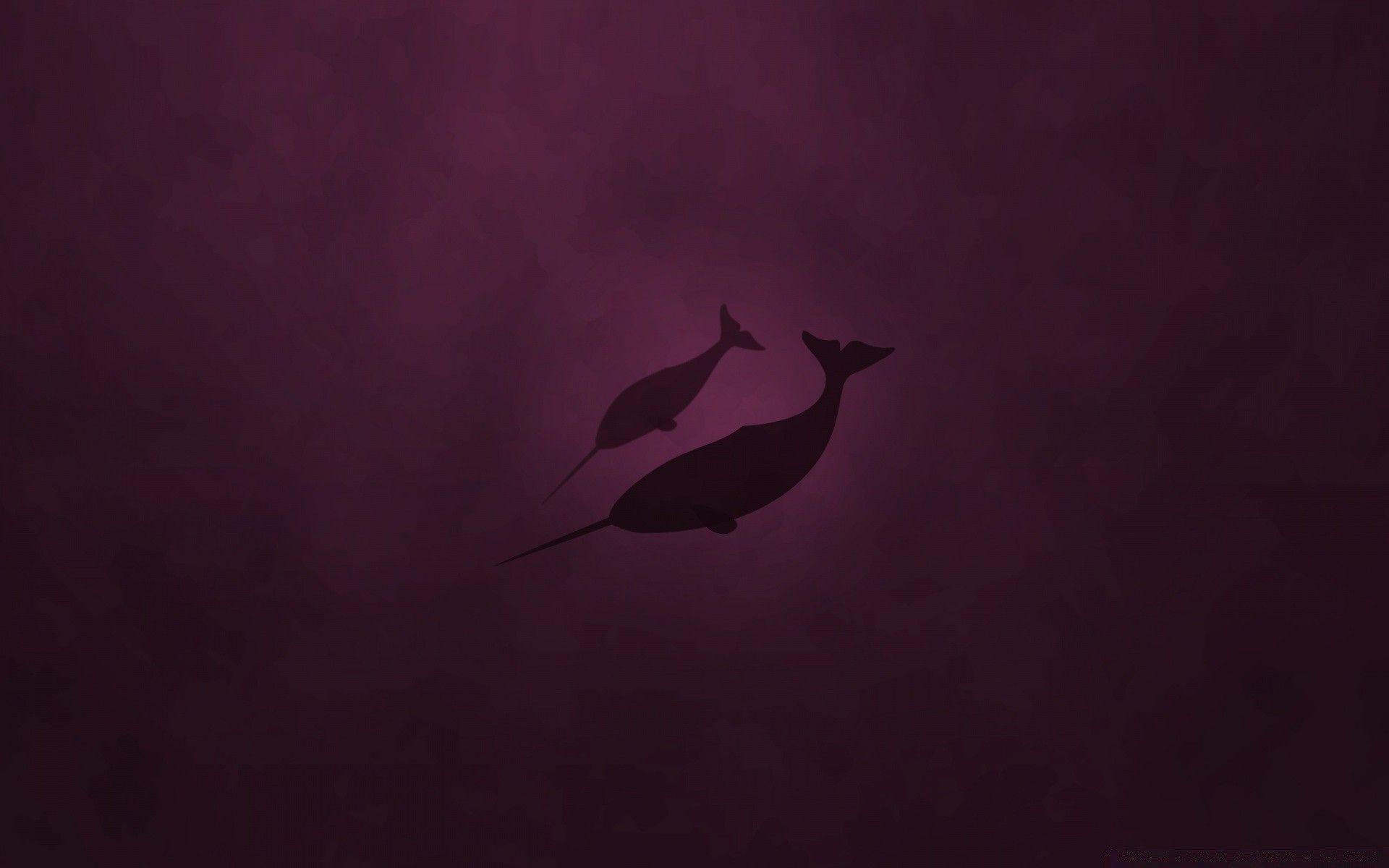 Linux Natty Narwhal. Android wallpapers for free