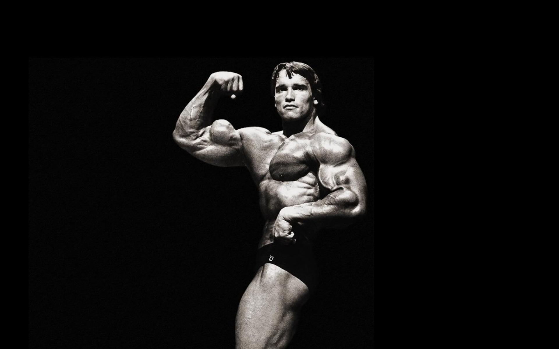 69+ Arnold Schwarzenegger Wallpapers