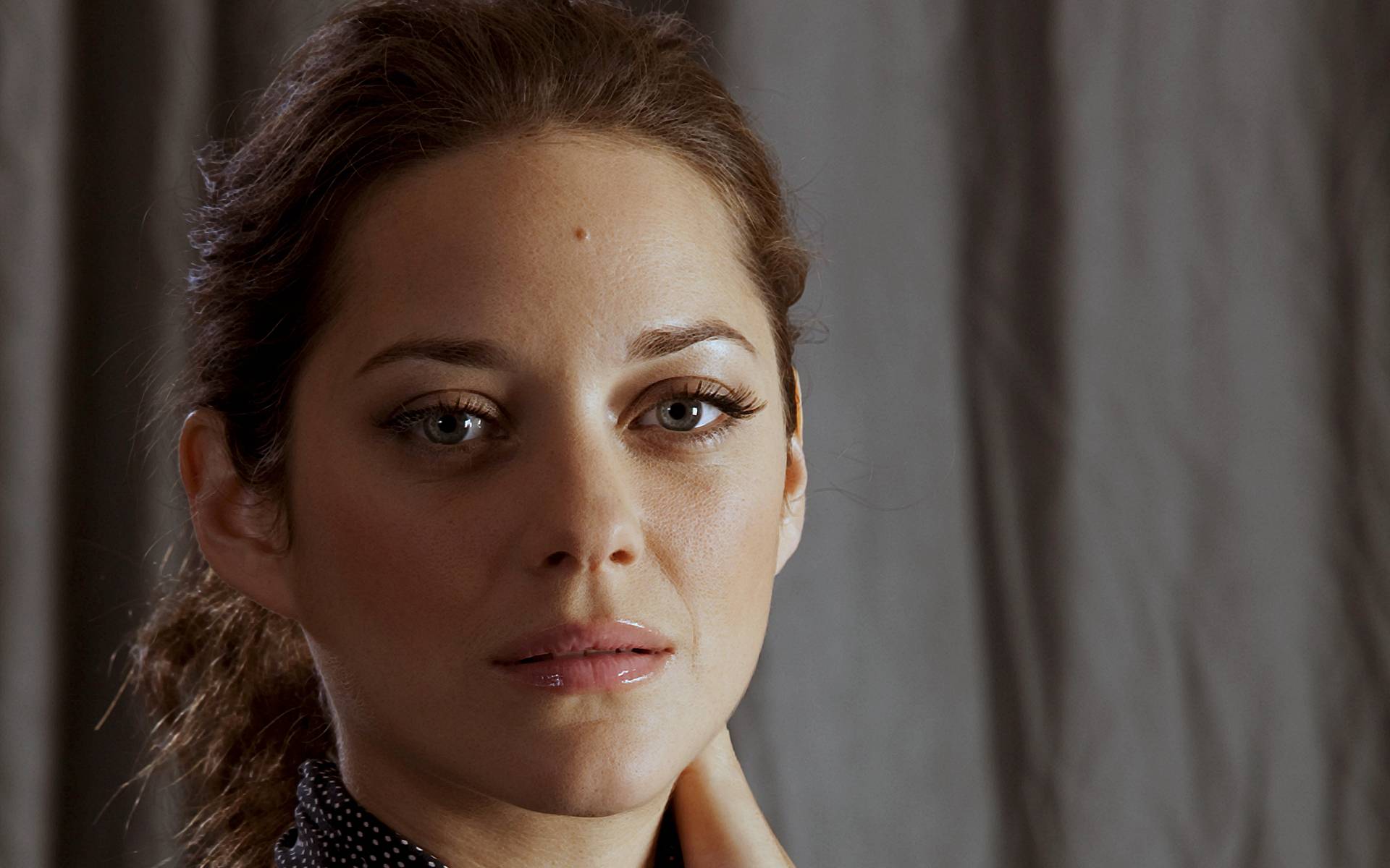 Marion Cotillard Photo in Celebrities F