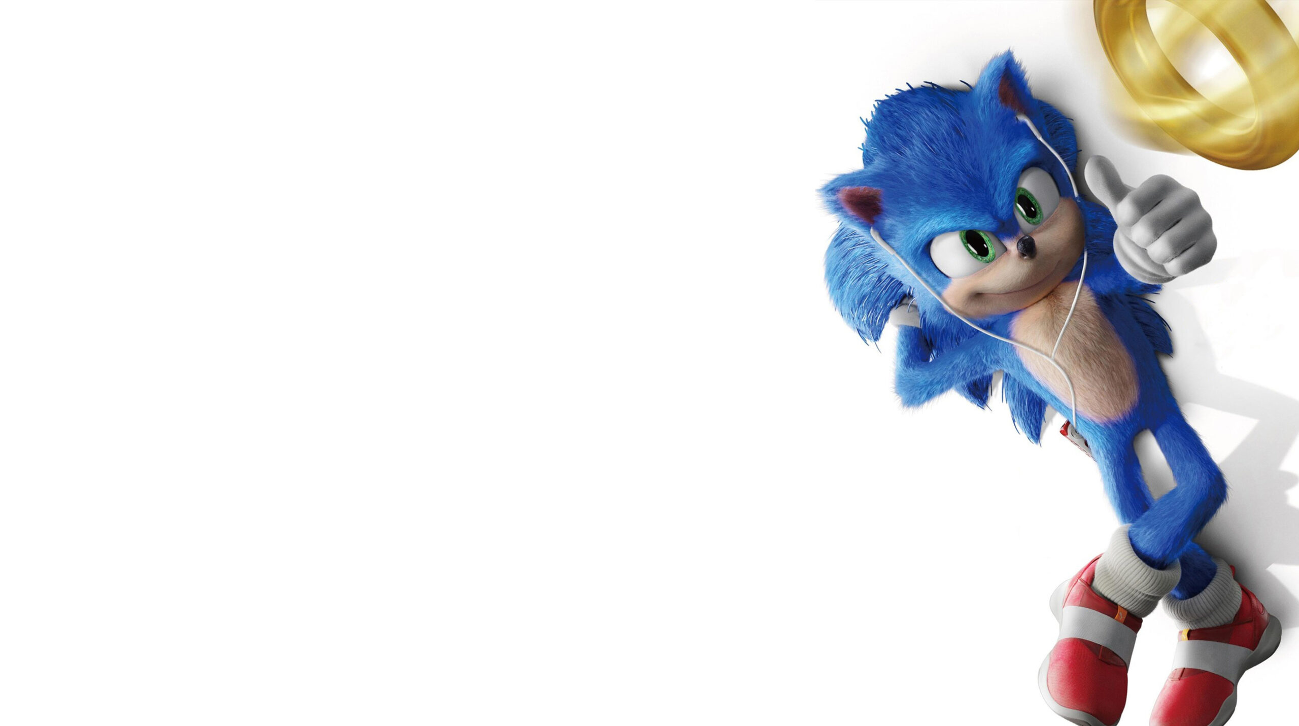 Sonic the Hedgehog