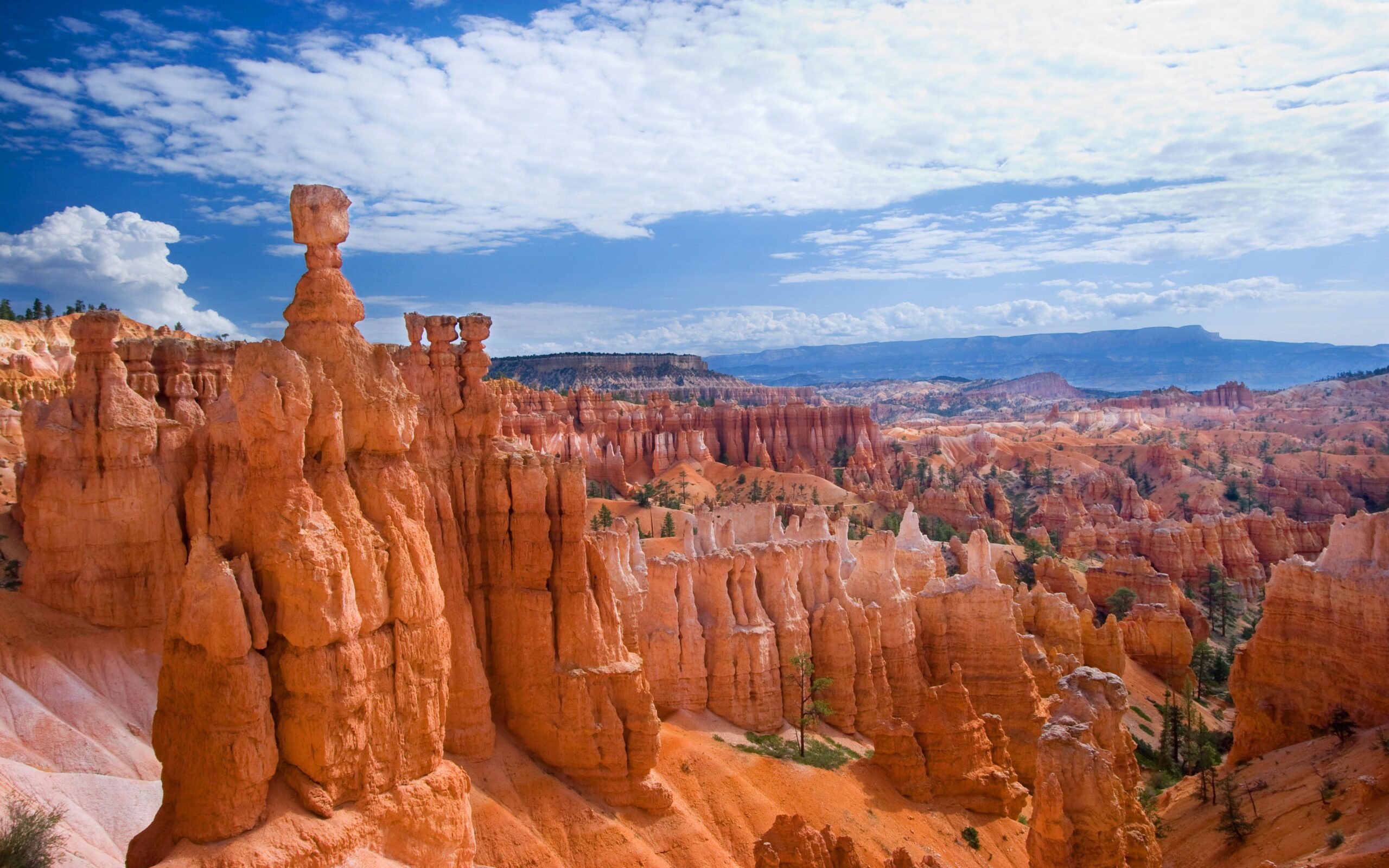 Bryce Canyon National Park Usa Desktop Wallpapers Hd : Wallpapers13