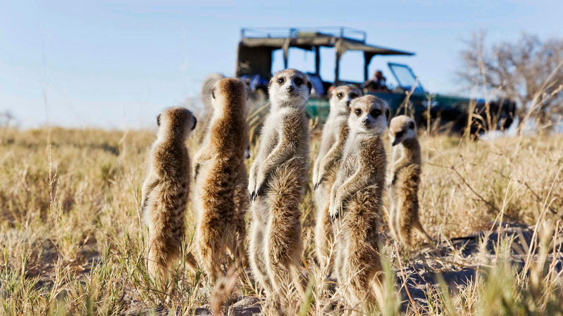 Makgadikgadi Pans