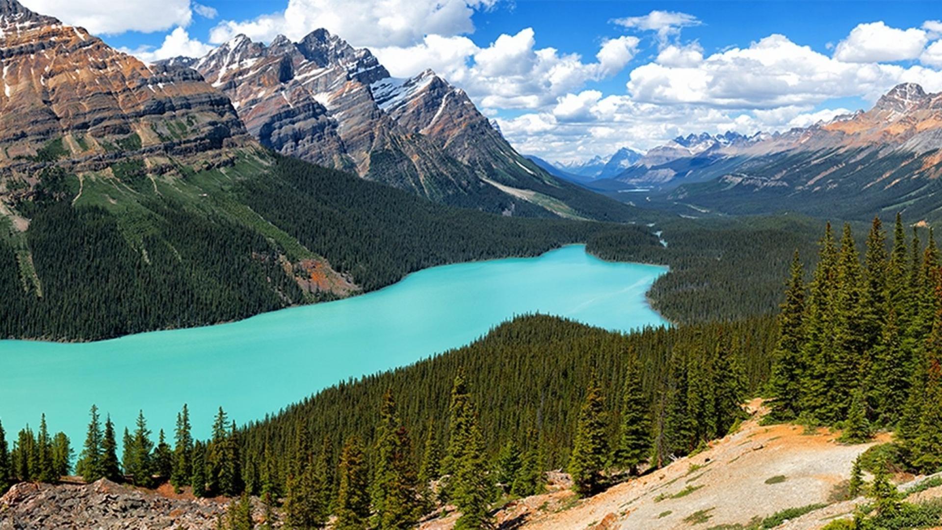 National park canada peyto lake rocky mountains wallpapers