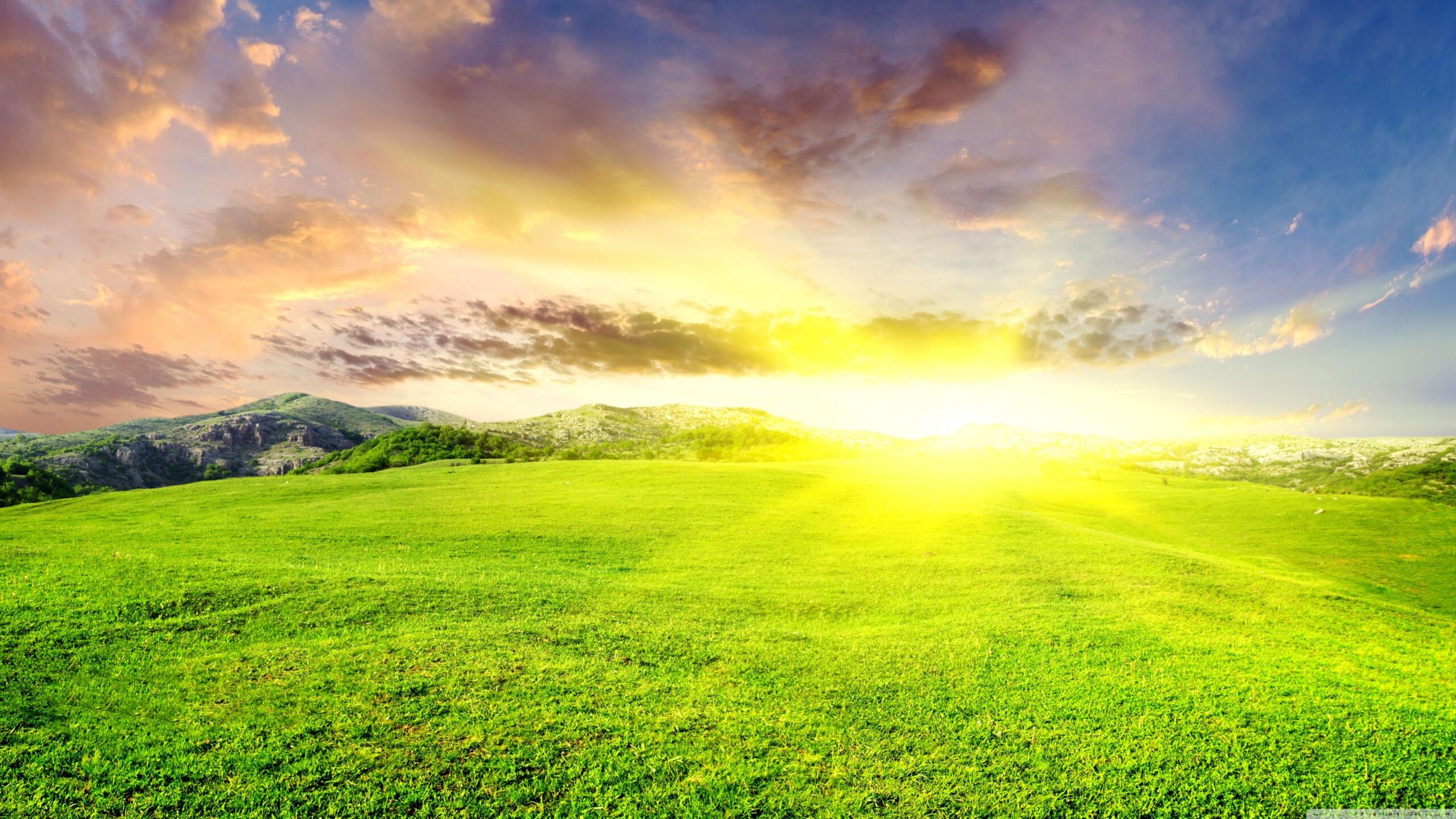 Dazzling Sun ❤ 4K HD Desktop Wallpapers for • Dual Monitor Desktops