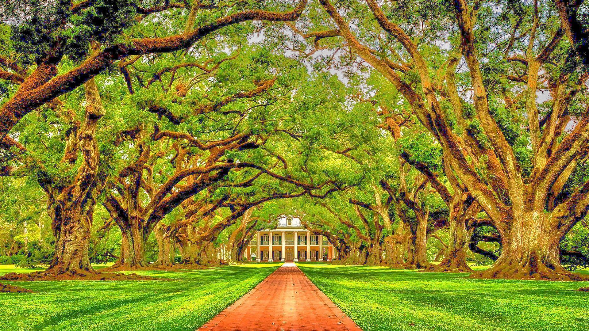 Oak Alley Plantation Louisiana HDR Wallpapers free desktop