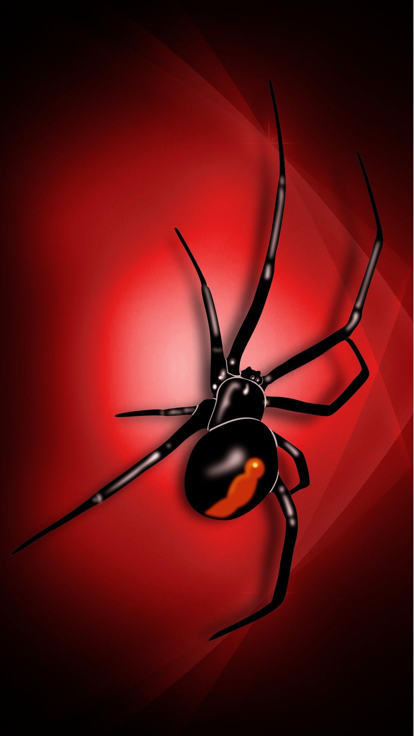 Spider Wallpapers