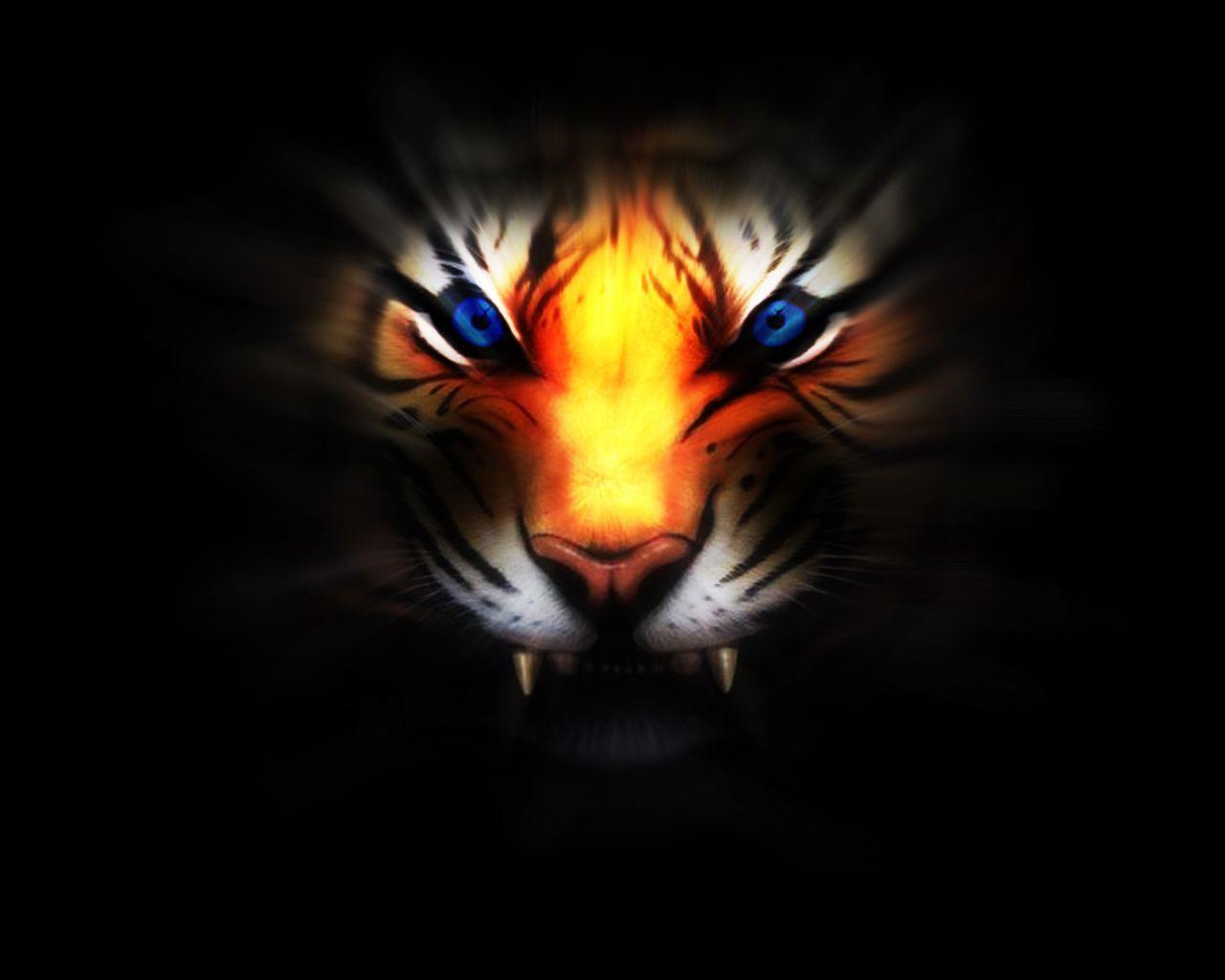 235 Tiger Wallpapers