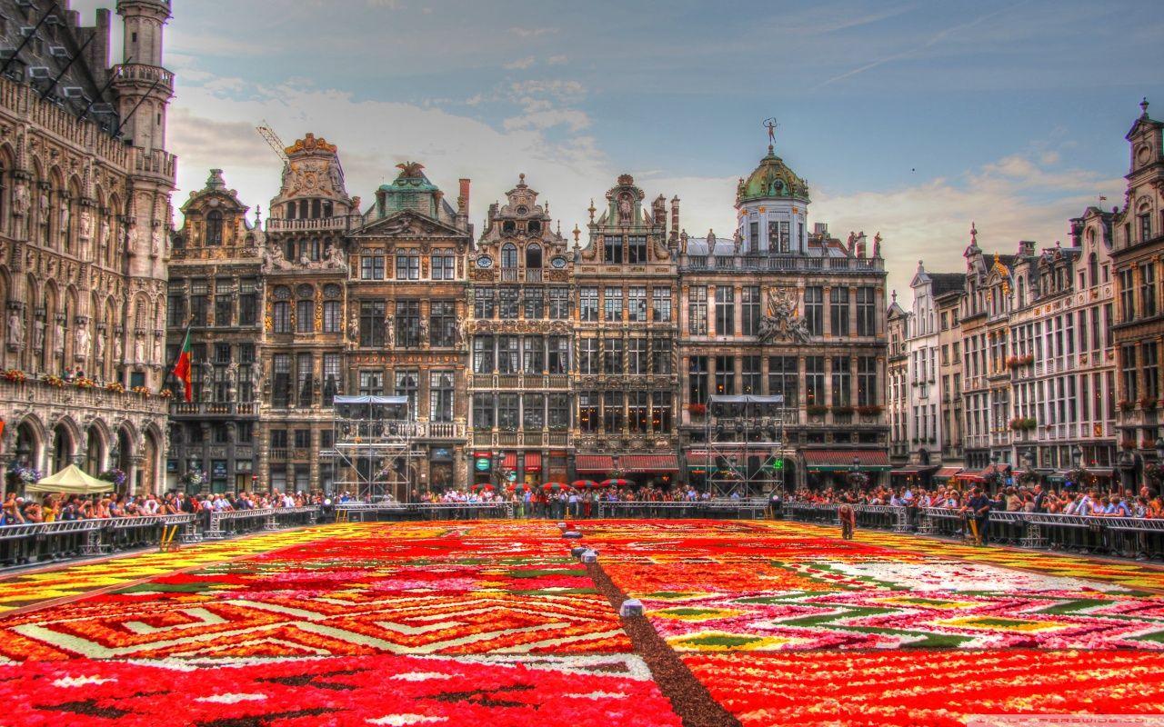 Flower Carpet