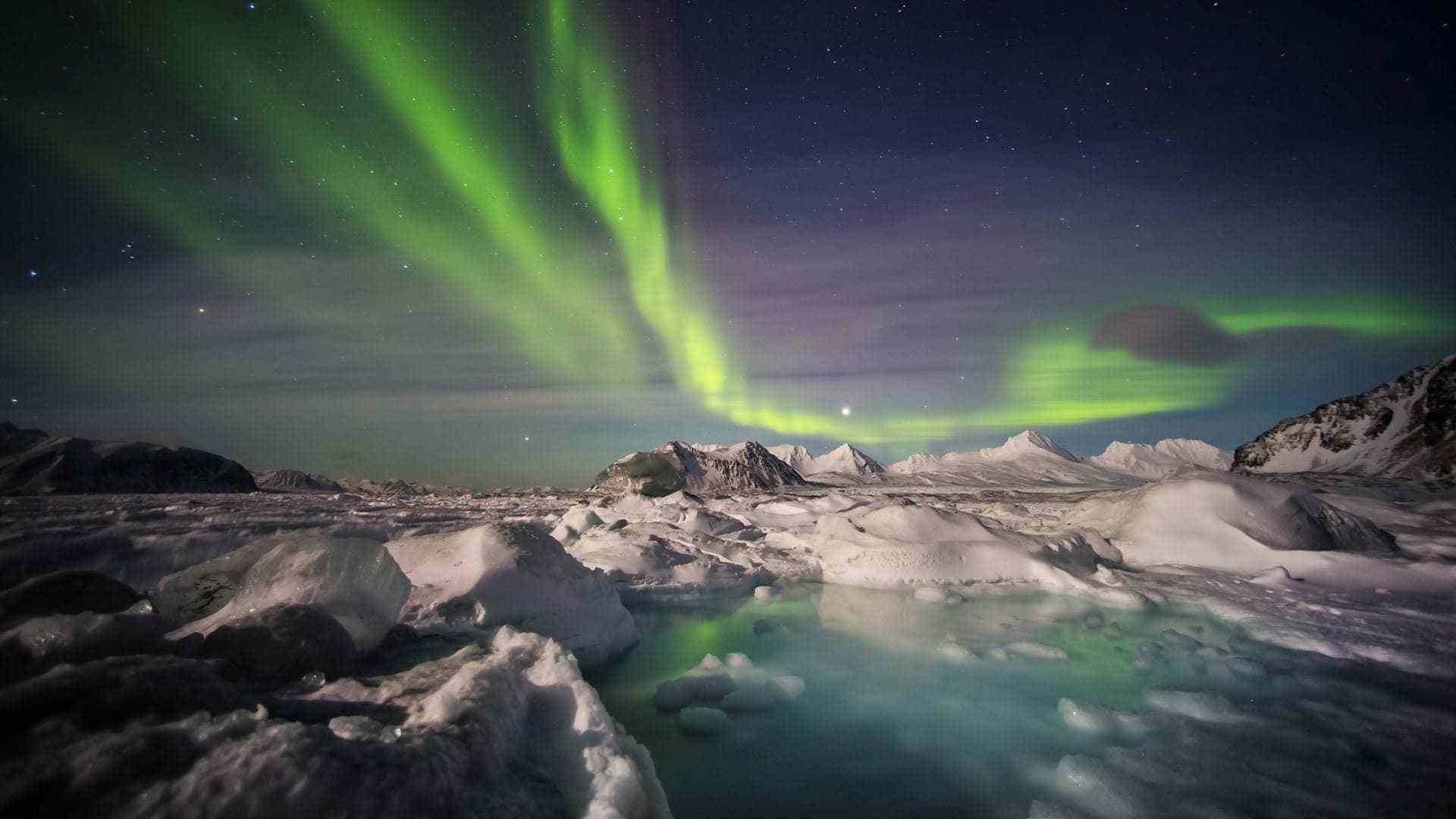 The One Memory of Flora Banks: Svalbard Photo Tour + Blog Tour