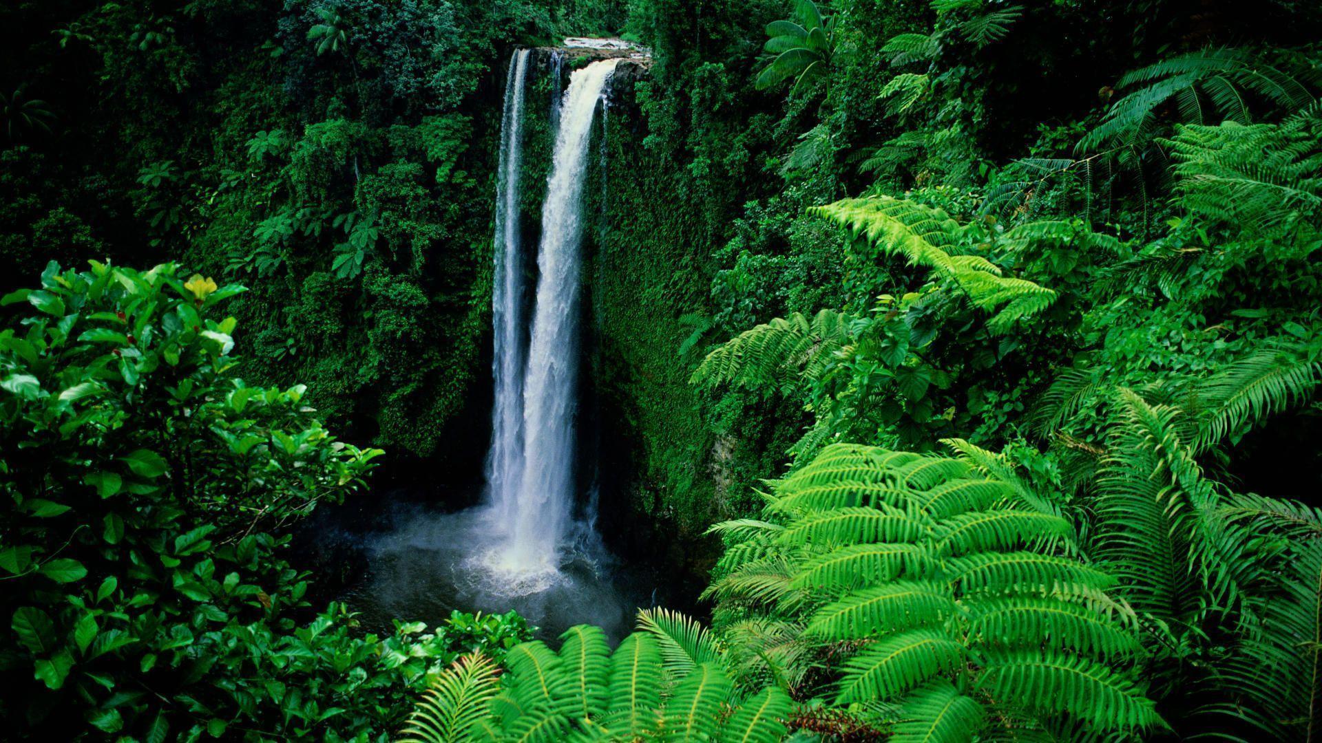 Fuipisia Falls Upolu Island Samoa Wallpapers