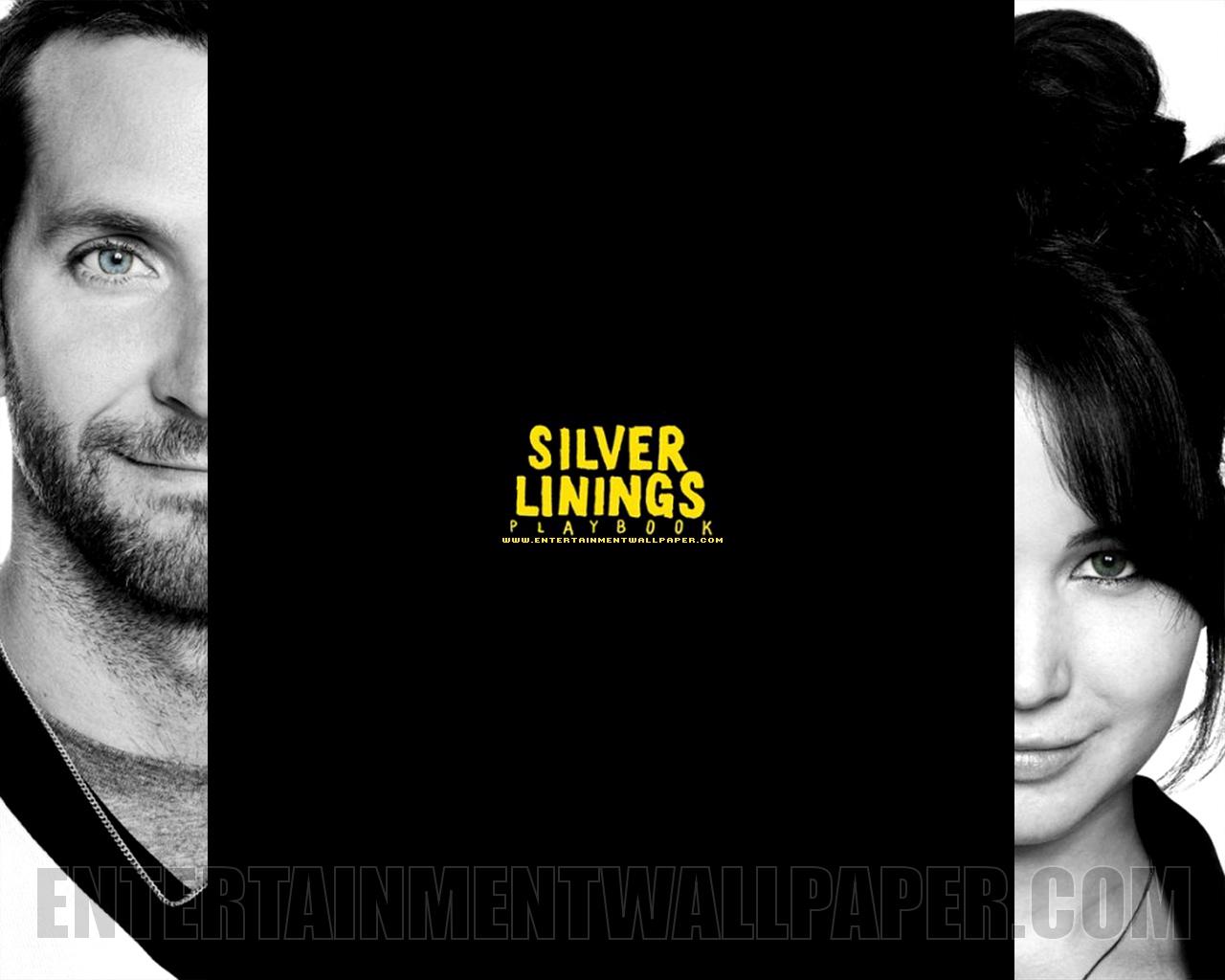 Silver Linings Playbook Wallpapers and Backgrounds Image