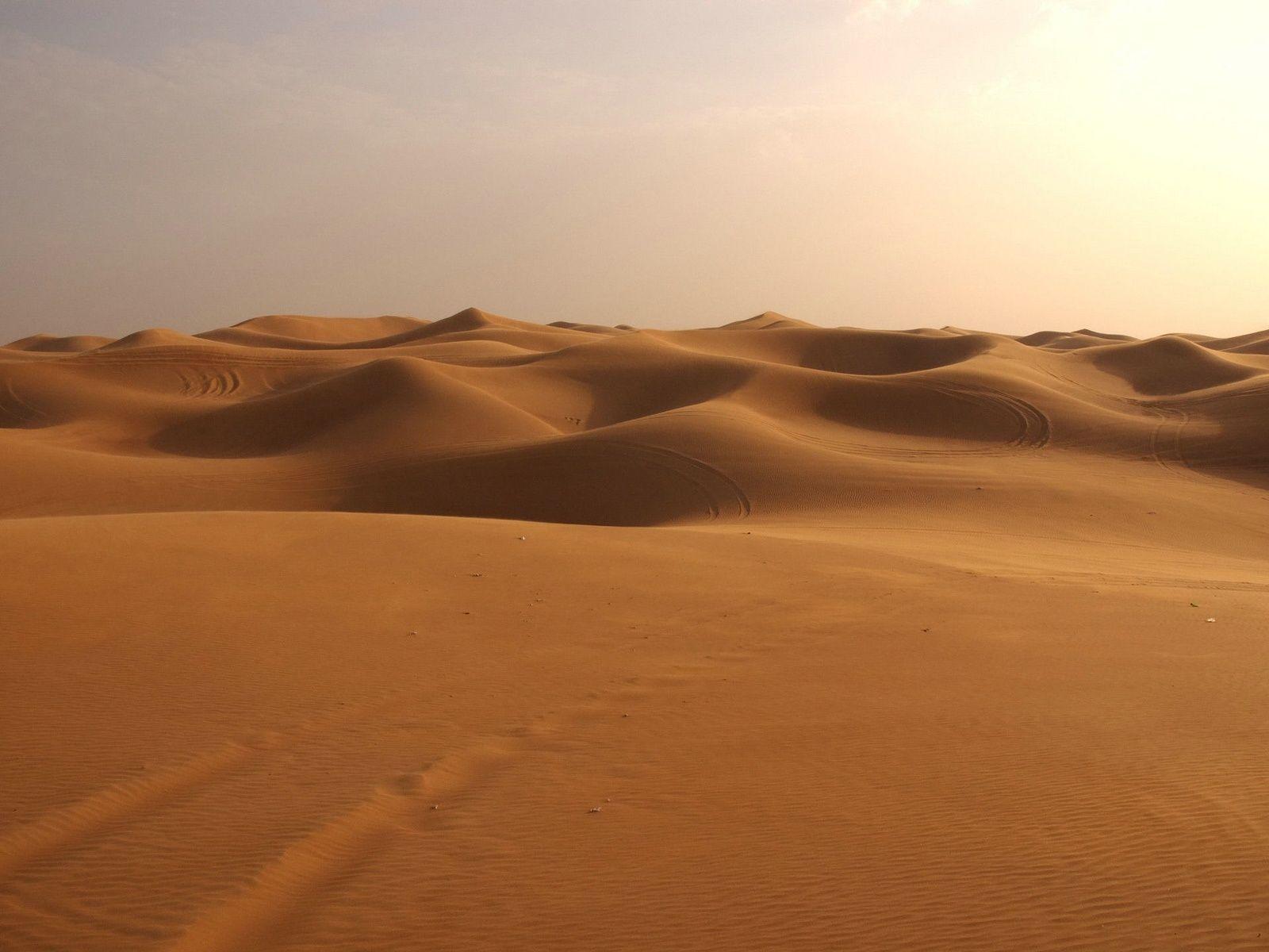 Free Sahara Desert Wallpapers