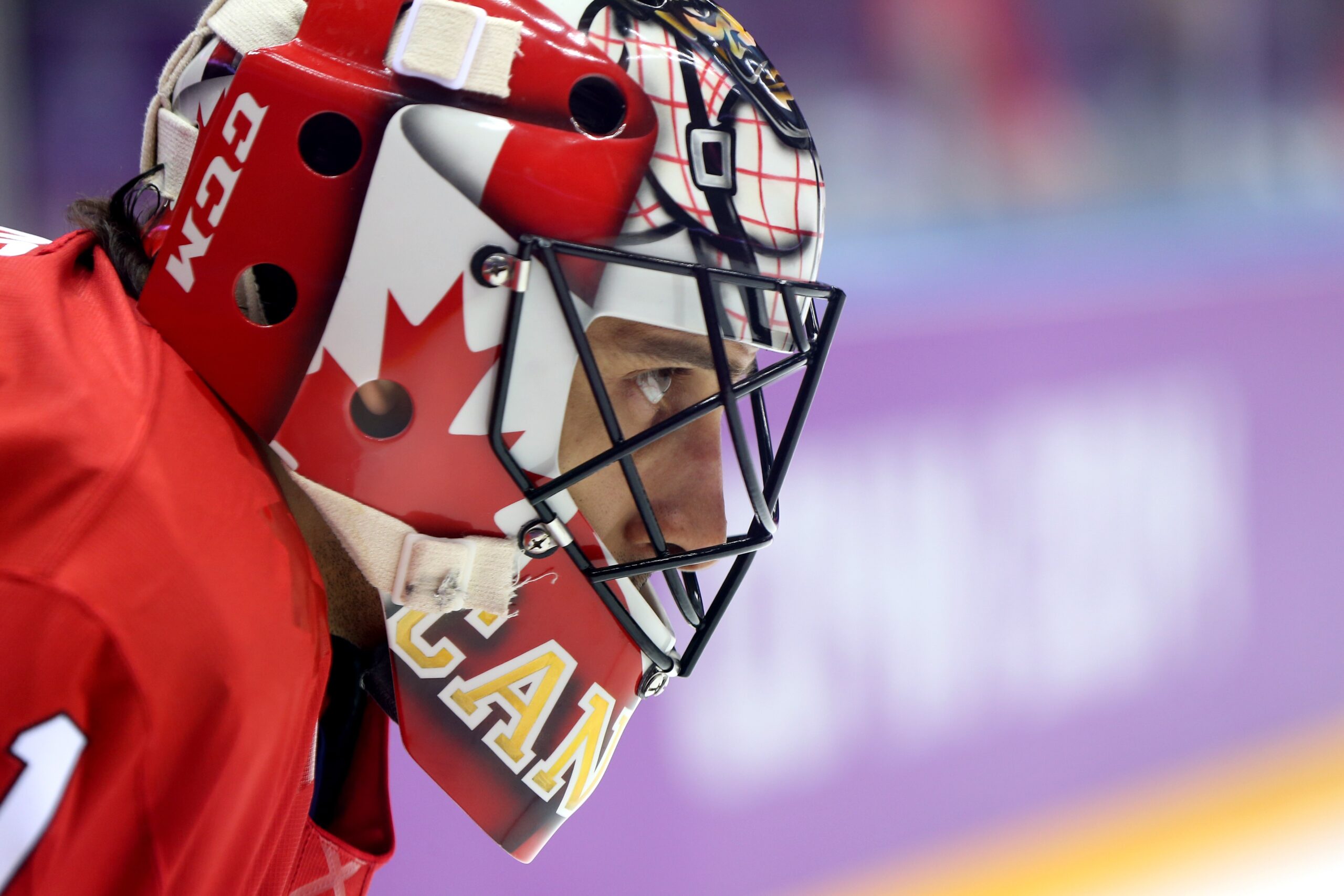 Roberto Luongo, hockey, mask, eyes