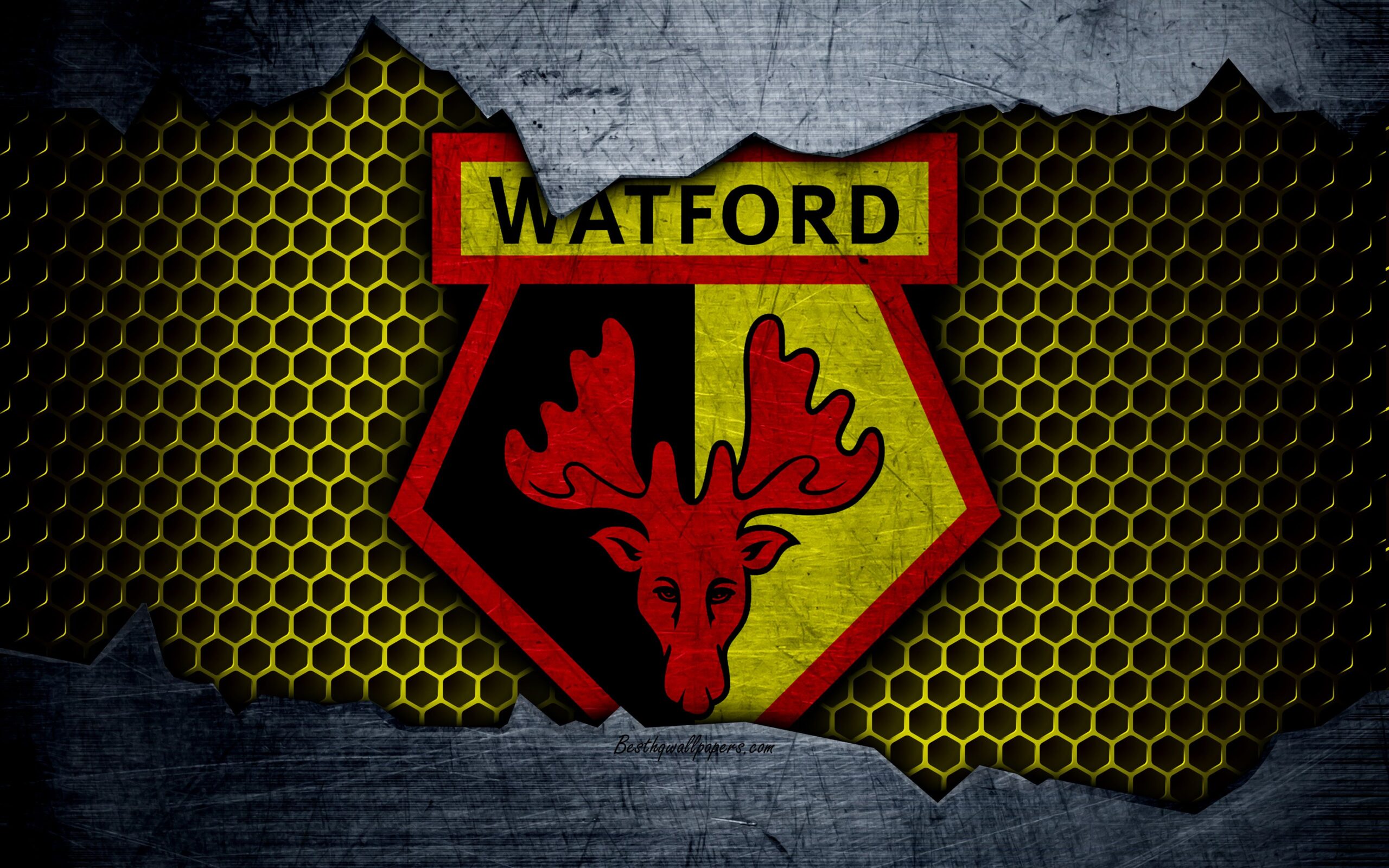 Download wallpapers Watford FC, 4k, football, Premier League