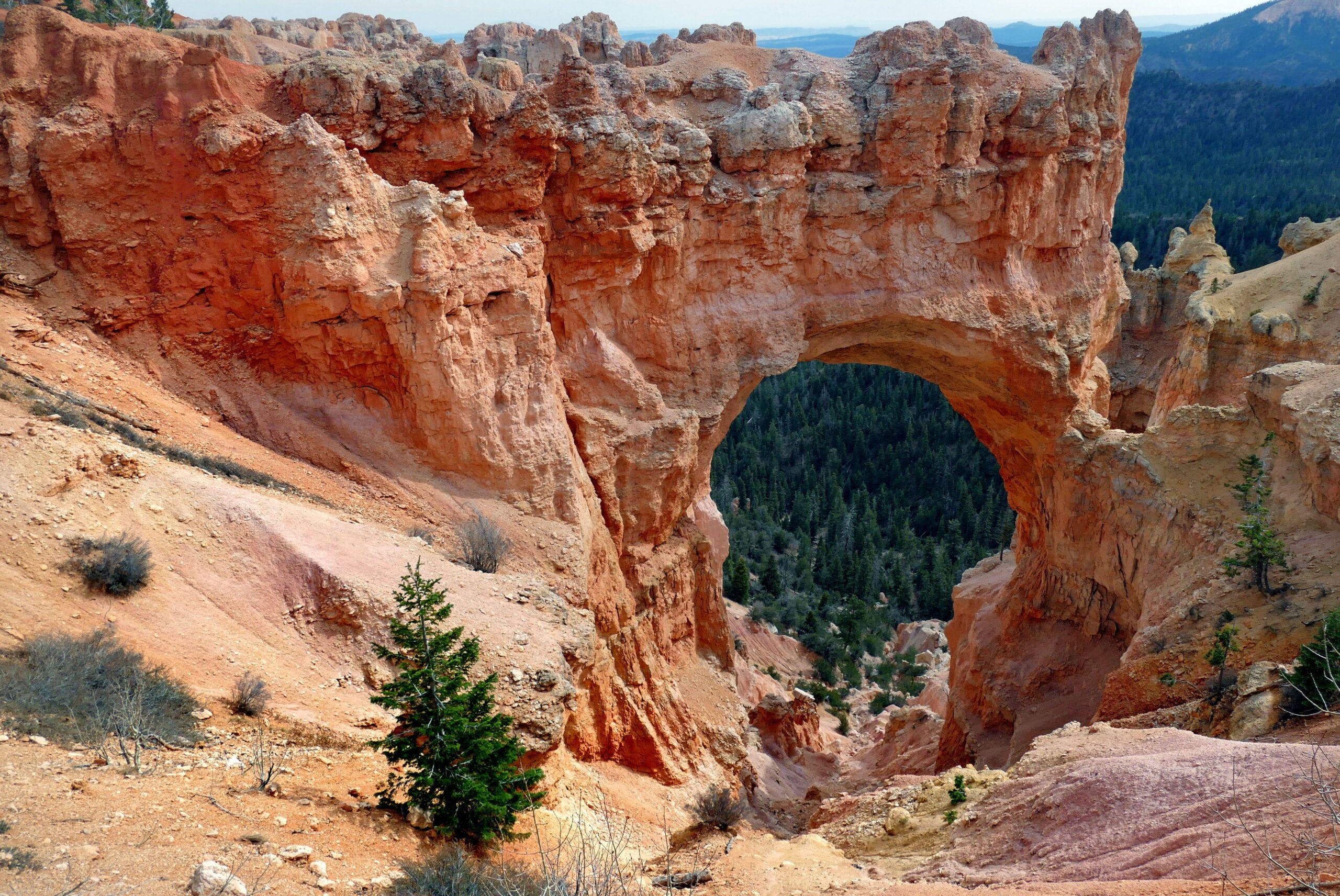 Arizona grand cannon arch, bryce canyon, utah HD wallpapers