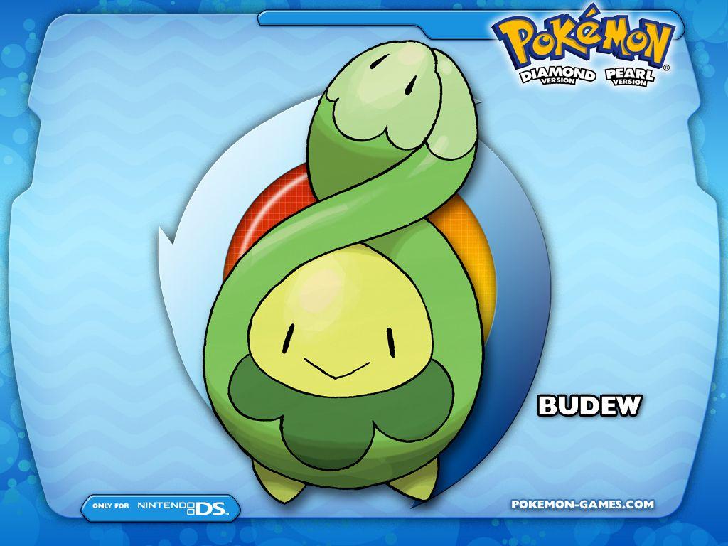 desktop budew pokemon anime