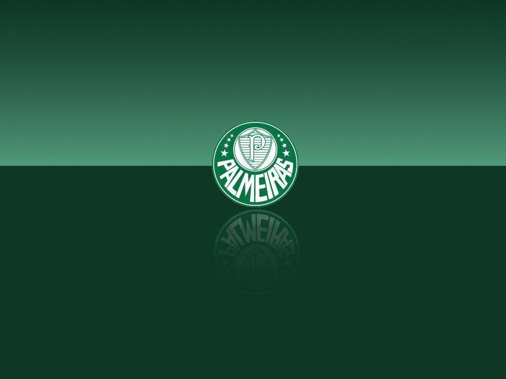 Palmeiras Wallpapers HD