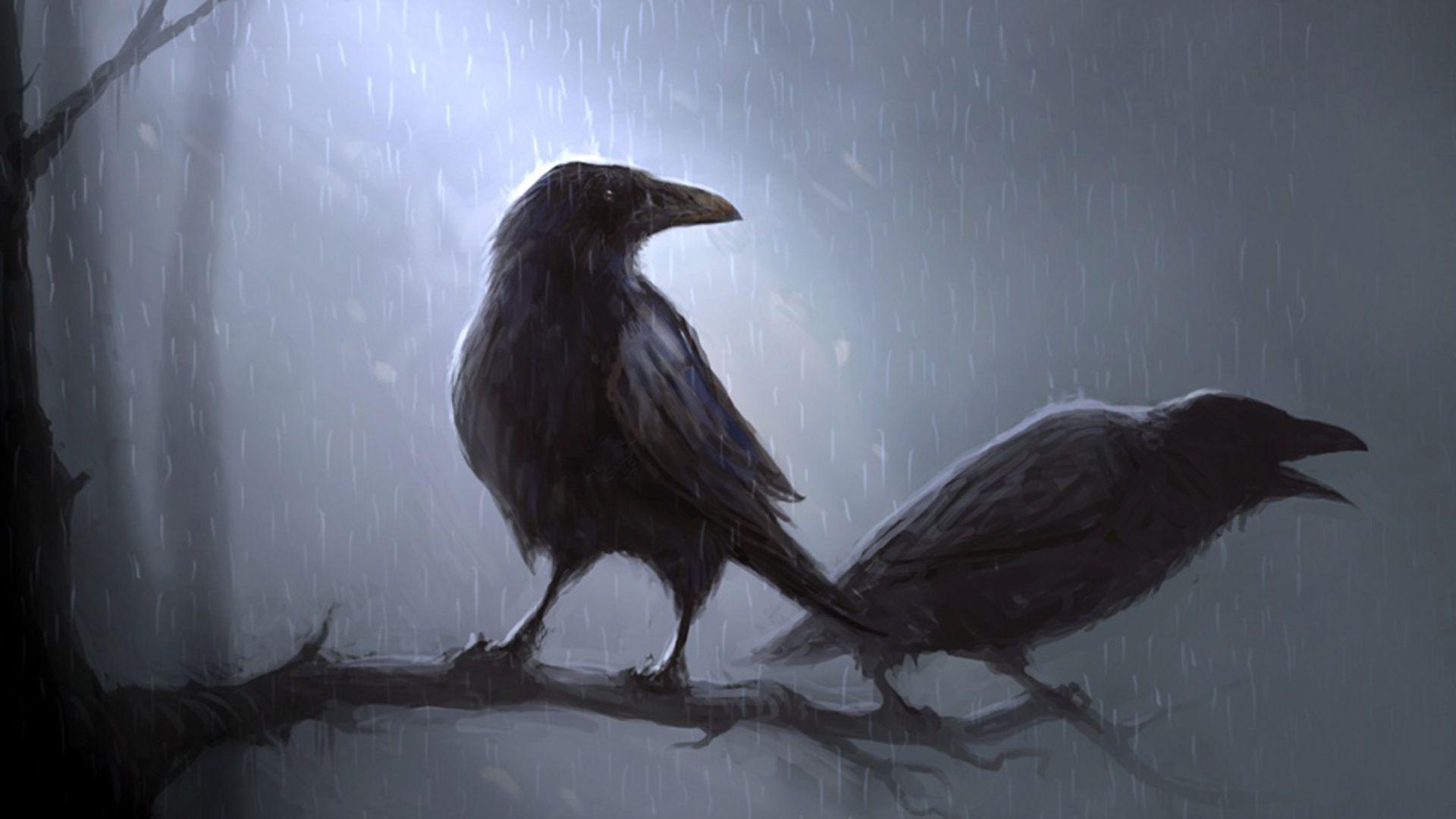 63 Crow HD Wallpapers