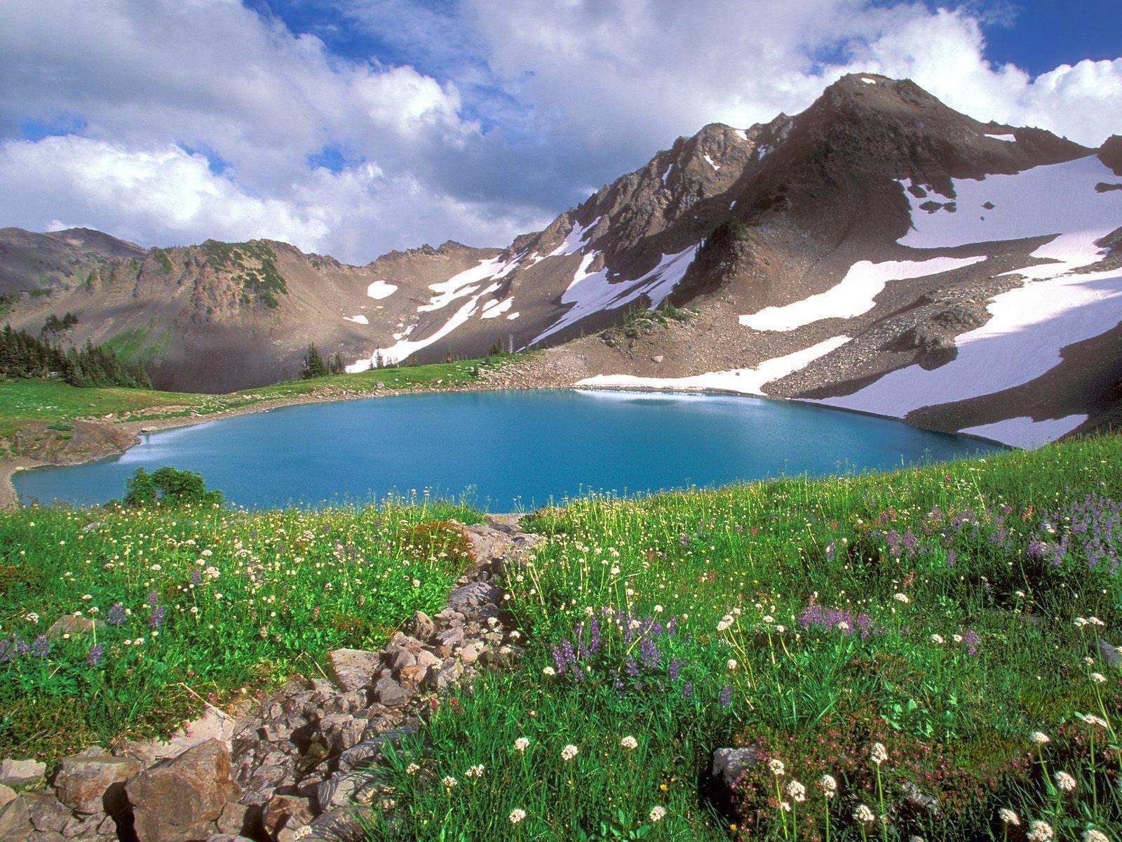 wallpaper: Olympic National Park Wallpapers