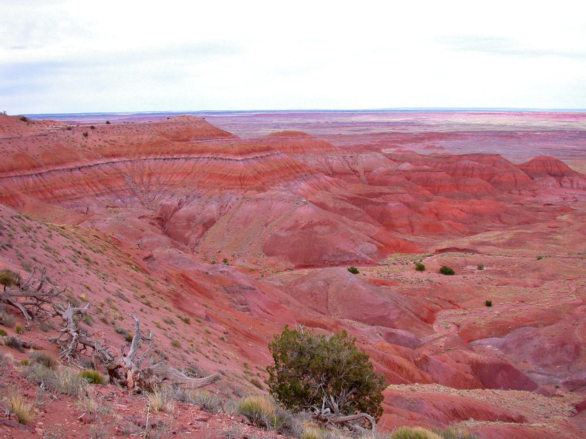 Petrified Forest National Park, Arizona