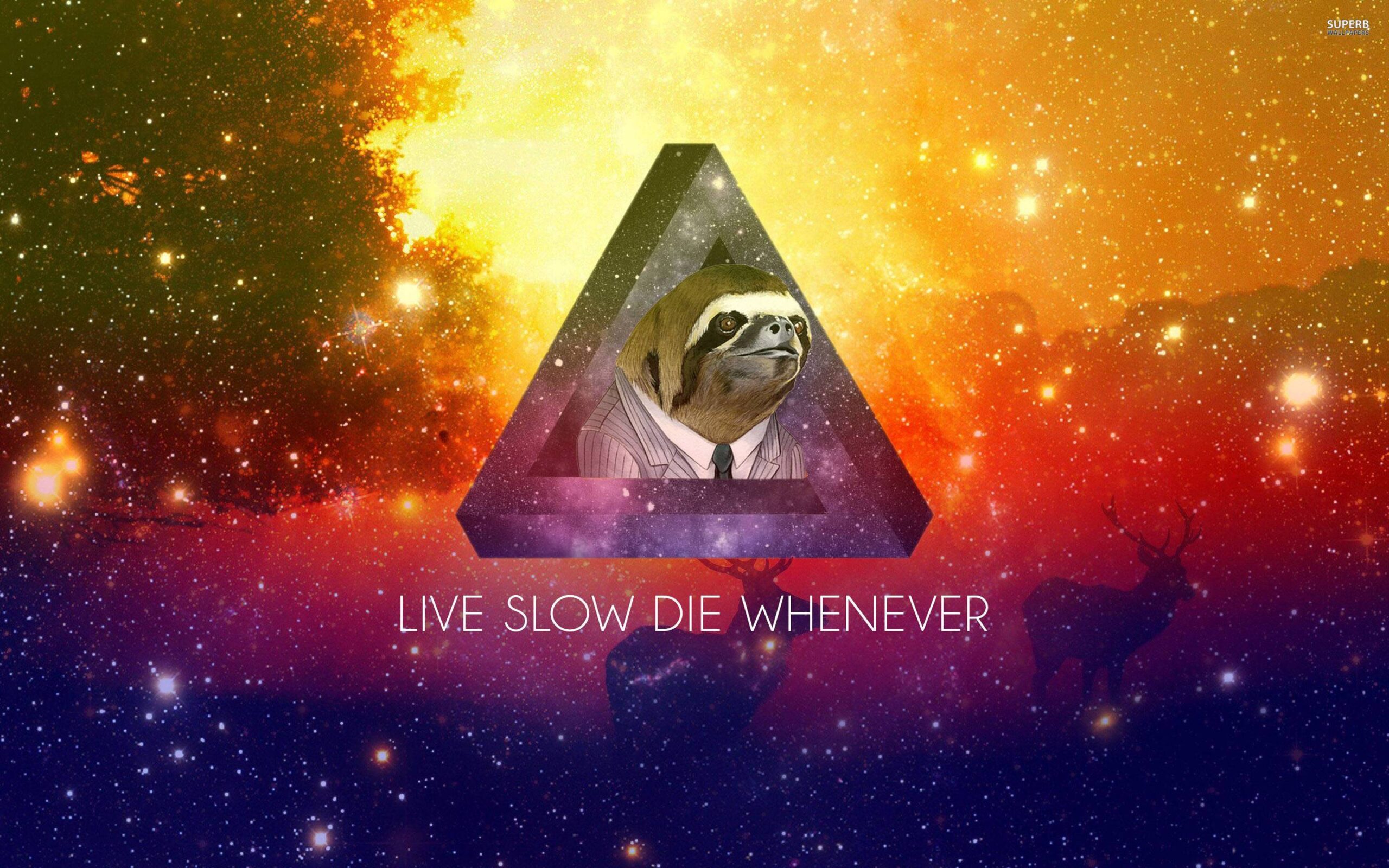 Sloth Wallpapers