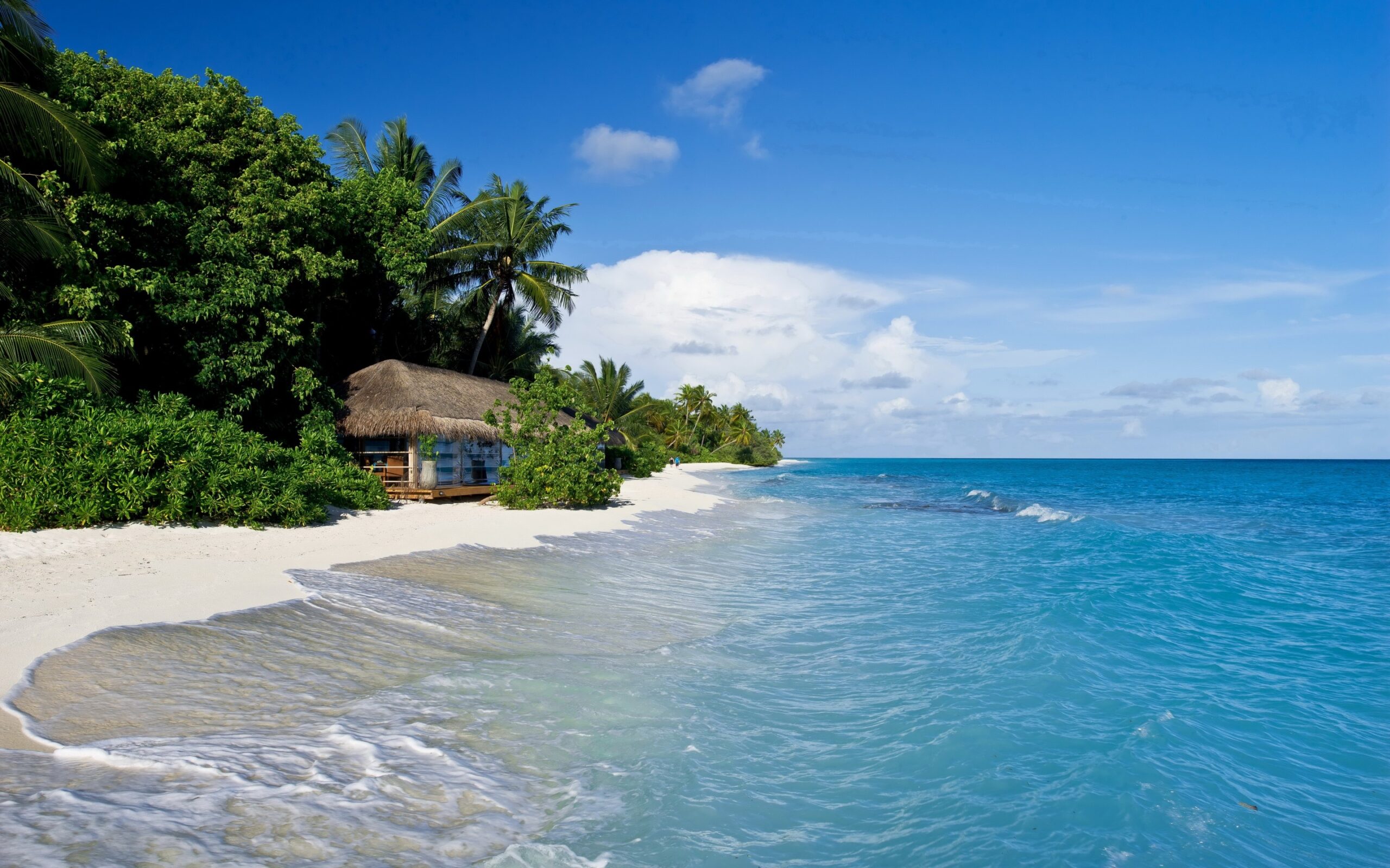 Wallpapers Kuramathi, Maldives, tropics, beach, sand, palm trees