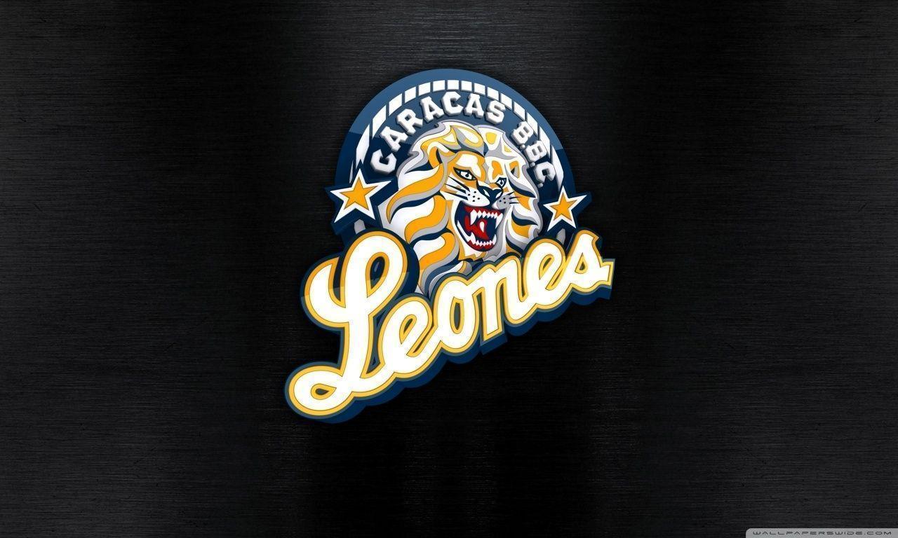 Leones del Caracas HD desktop wallpapers : High Definition