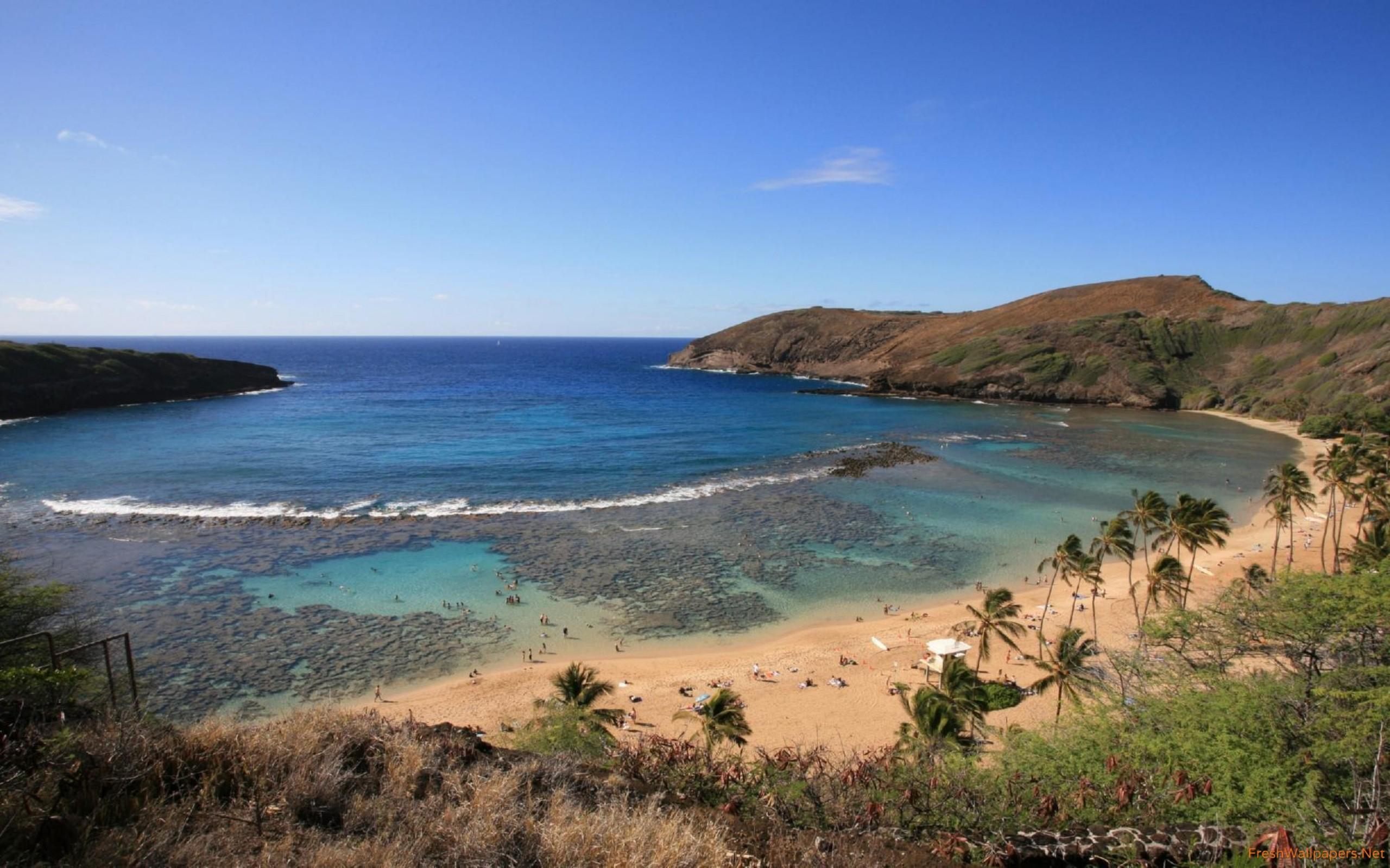 Sandy beach in the bay wallpapers