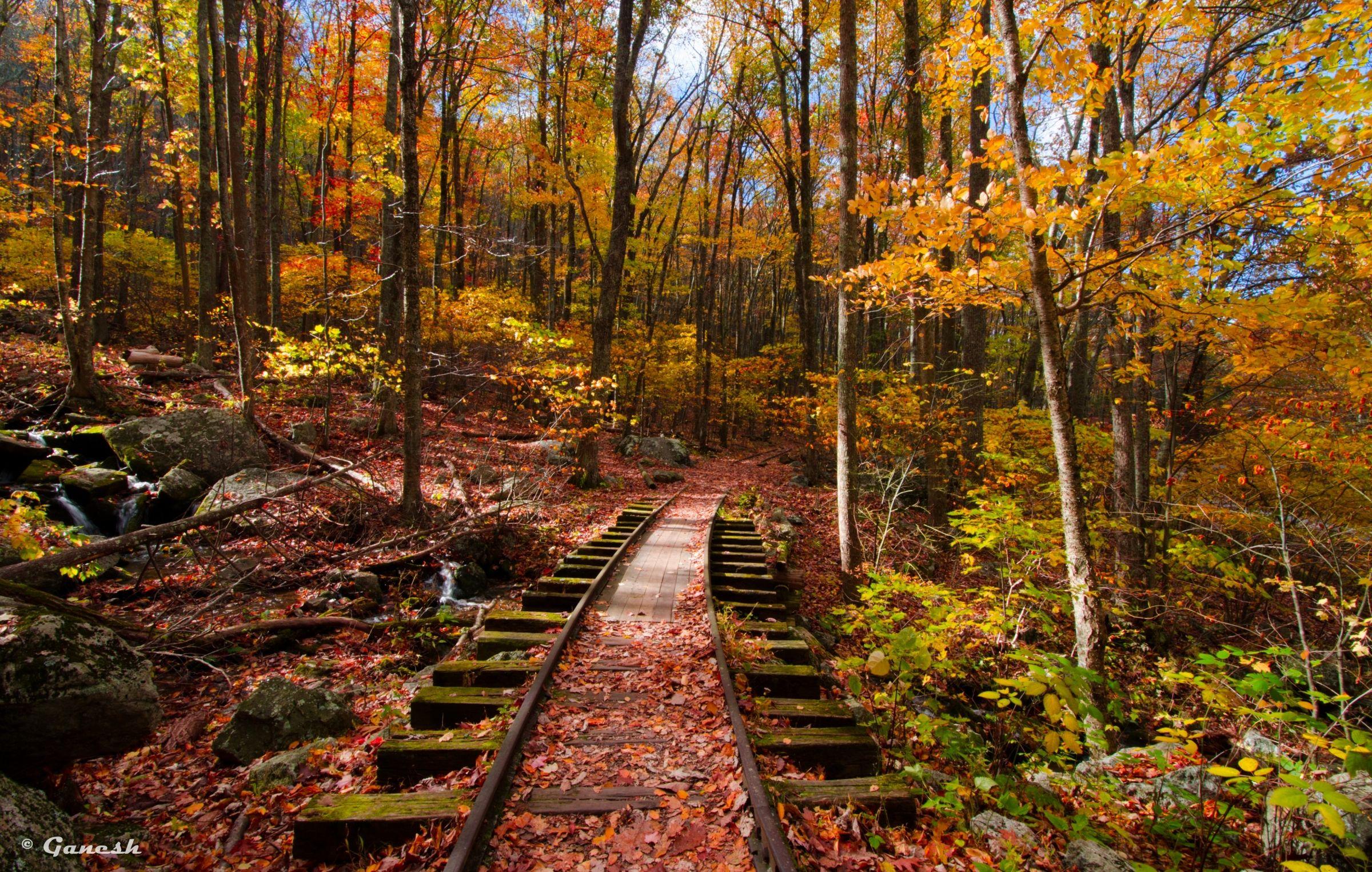 Blue Ridge Parkway