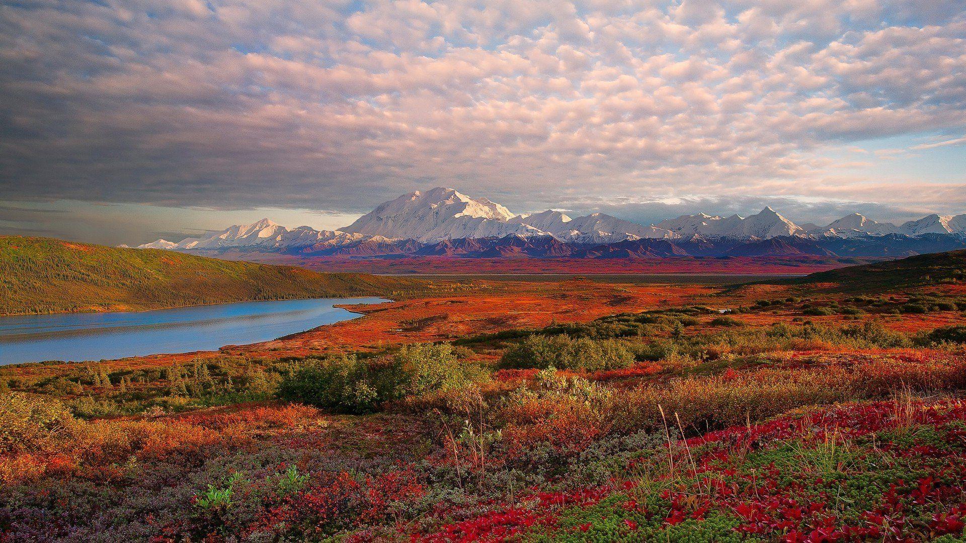 Denali National Park And Preserve 728848