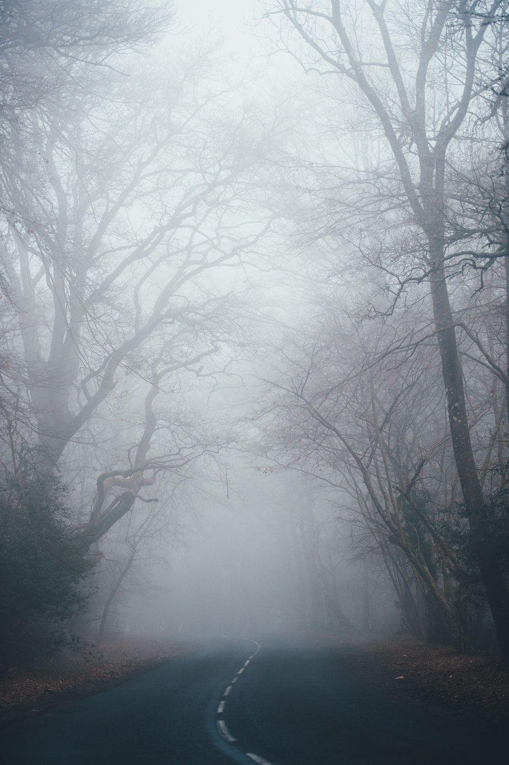 20+ Best Free Fog Pictures & Stock Photos