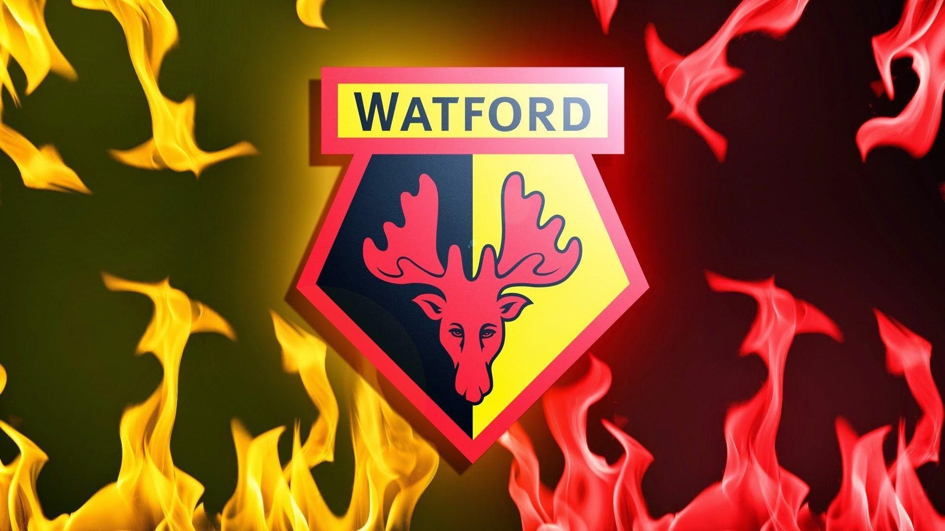 watford wallpapers hd