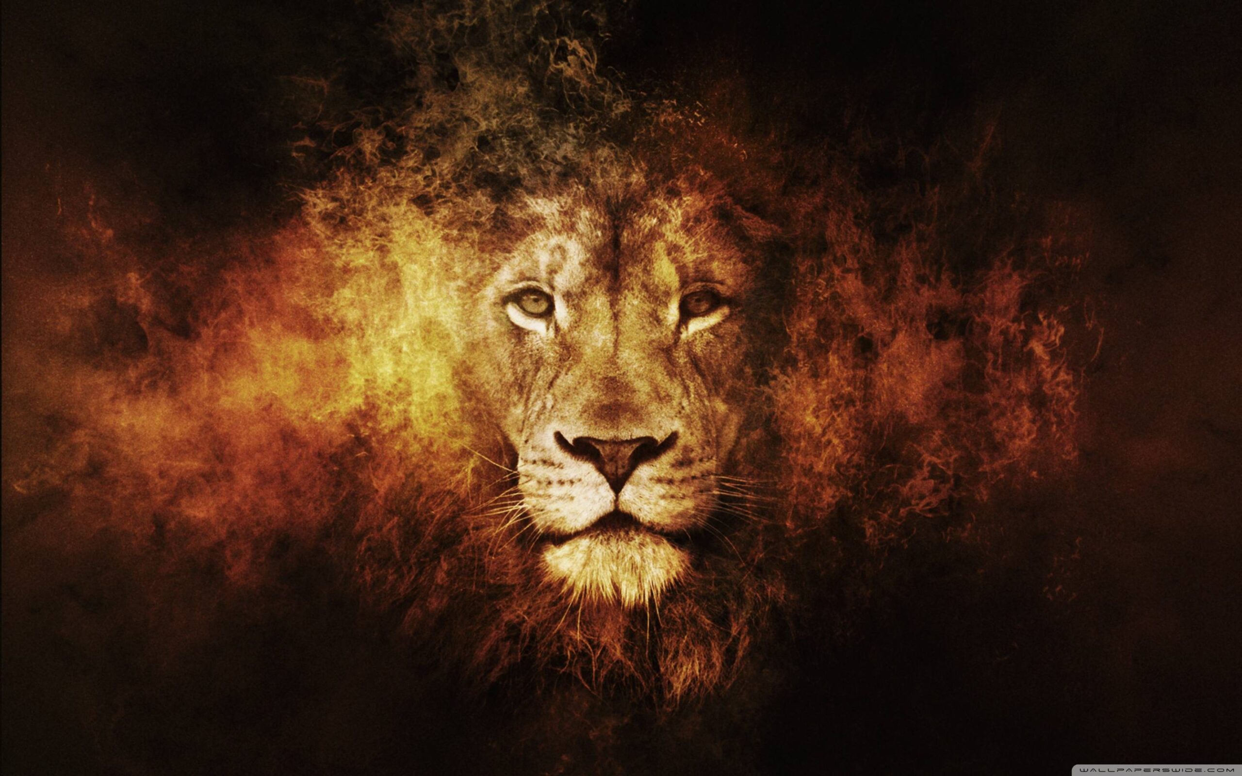 Lion Wallpapers HD