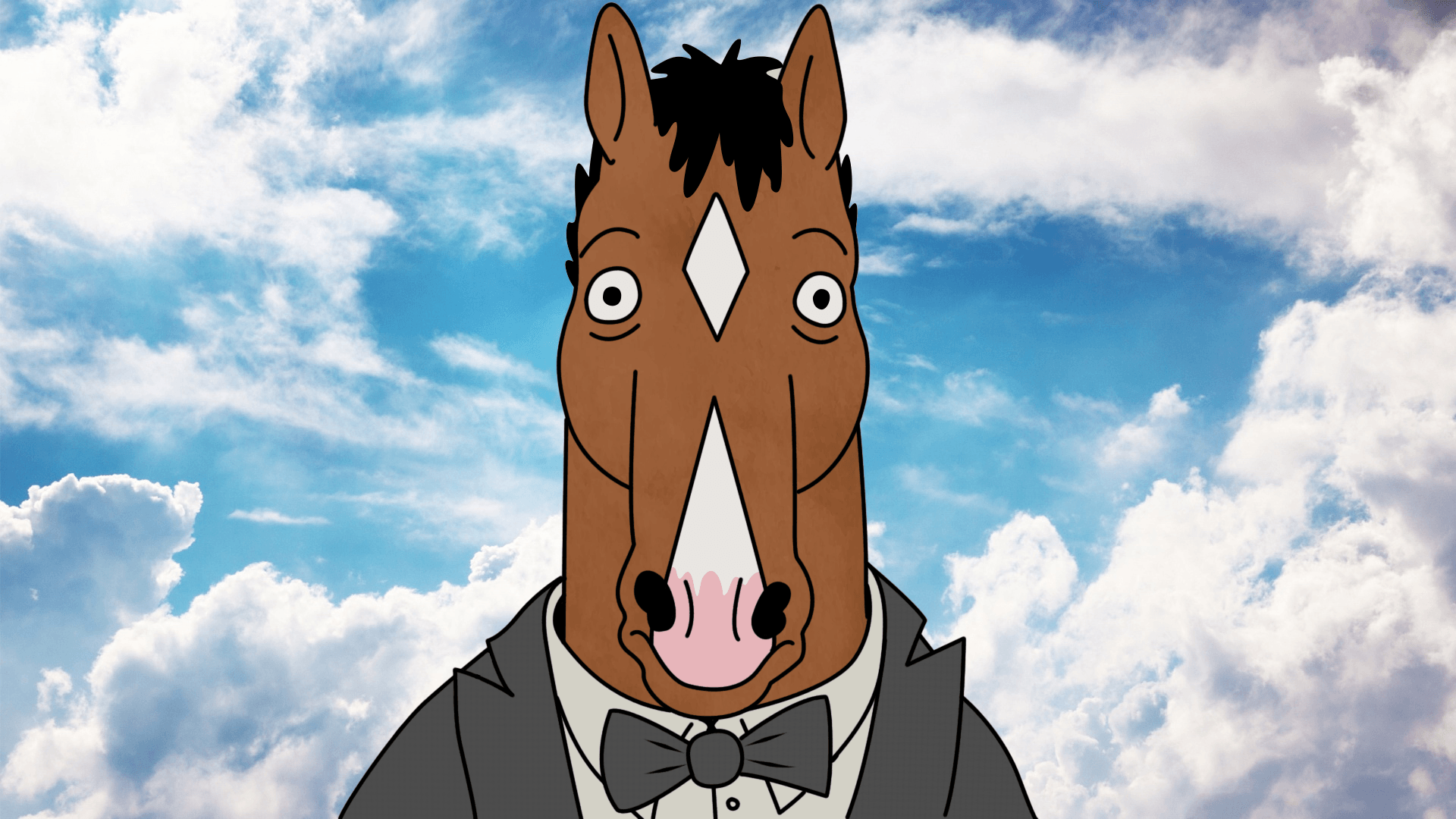 BoJack Horseman, Cartoon Wallpapers HD / Desktop and Mobile