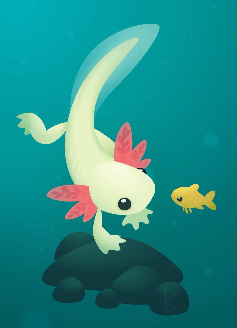 Axolotl by Karianne Hutchinson Illustration vector illustrator adobe