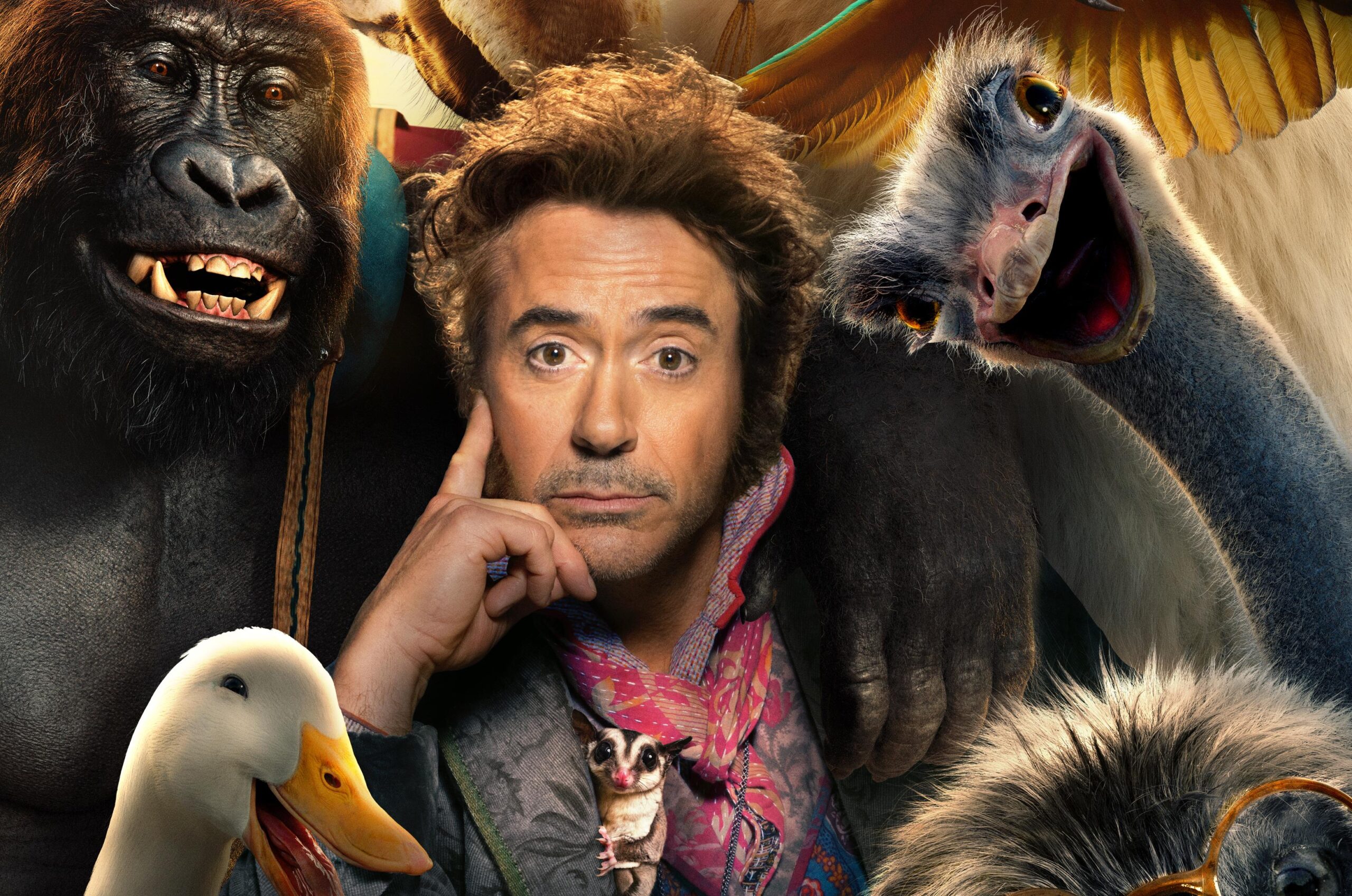 Dolittle 2020 Movie, HD Movies, 4k Wallpapers, Image