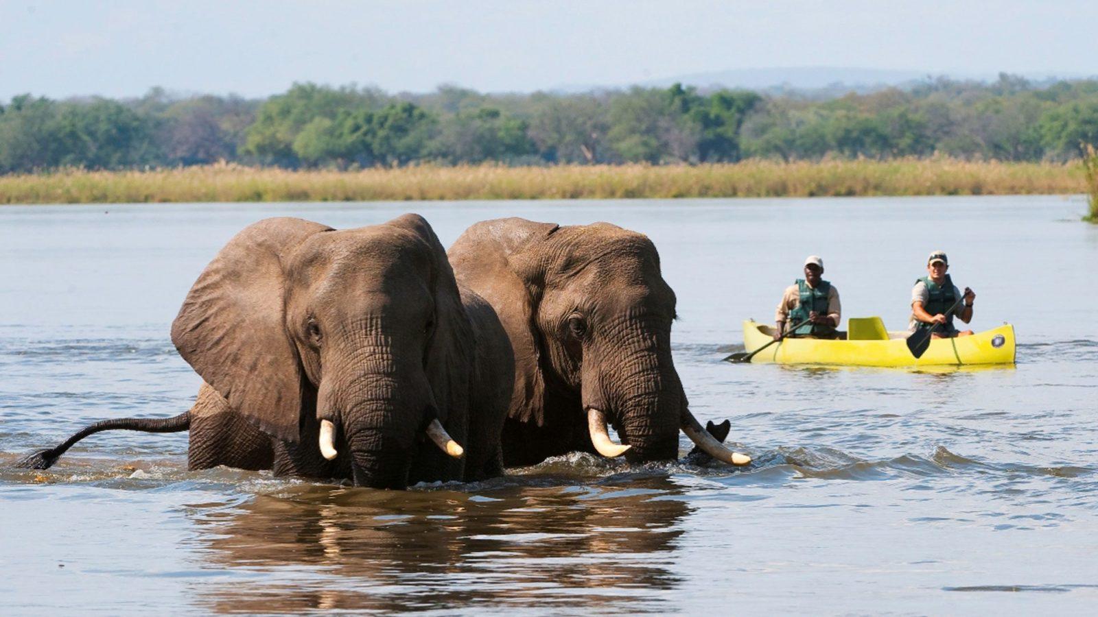 Lower Zambezi National Park and Lodges