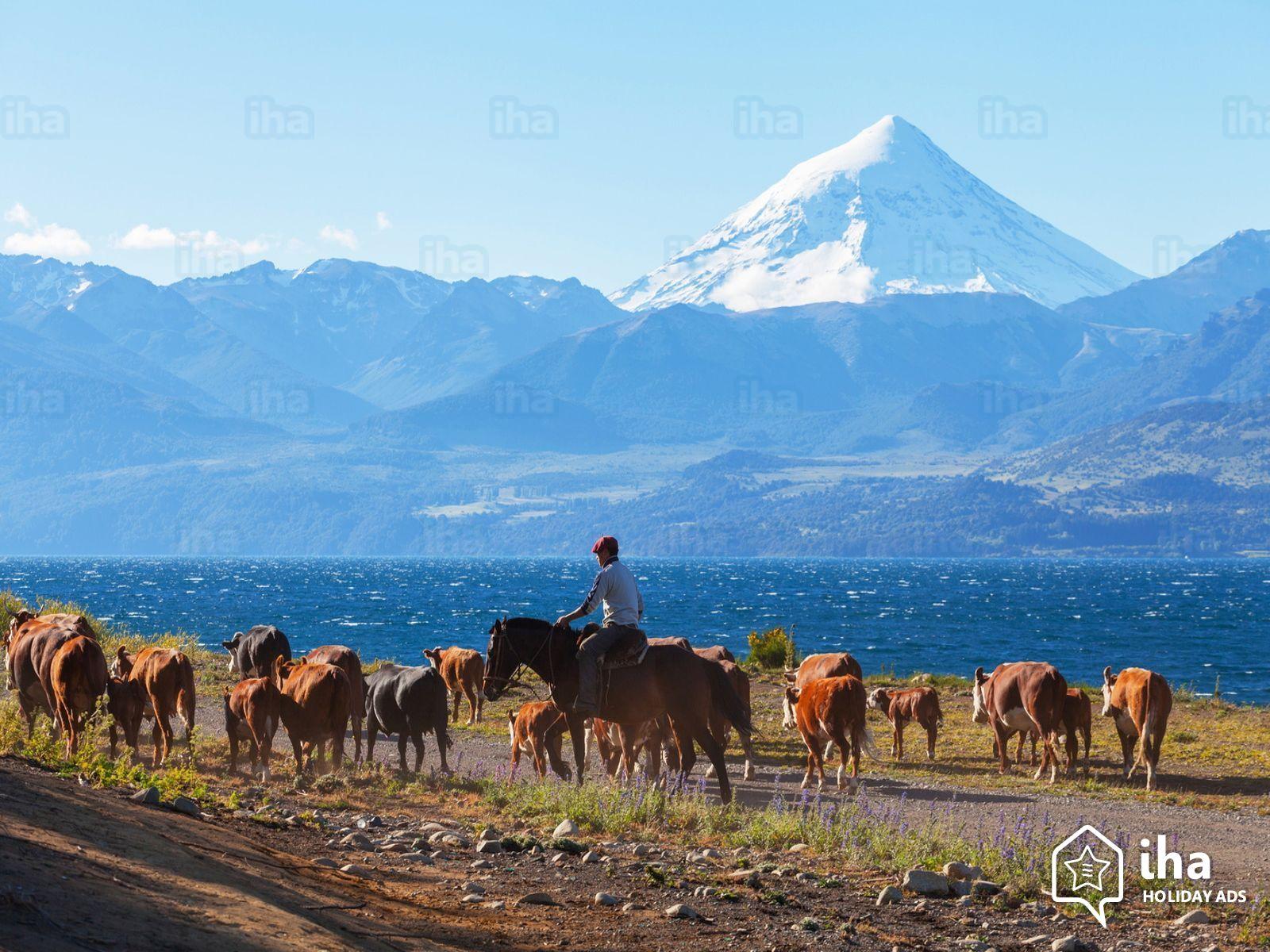 San Martín de los Andes rentals in a chalet for your holidays