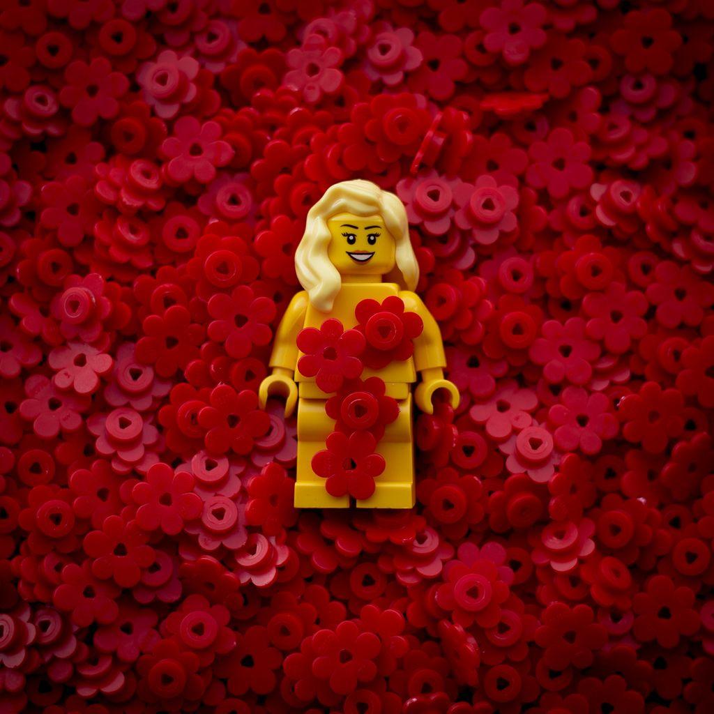 Lego American Beauty