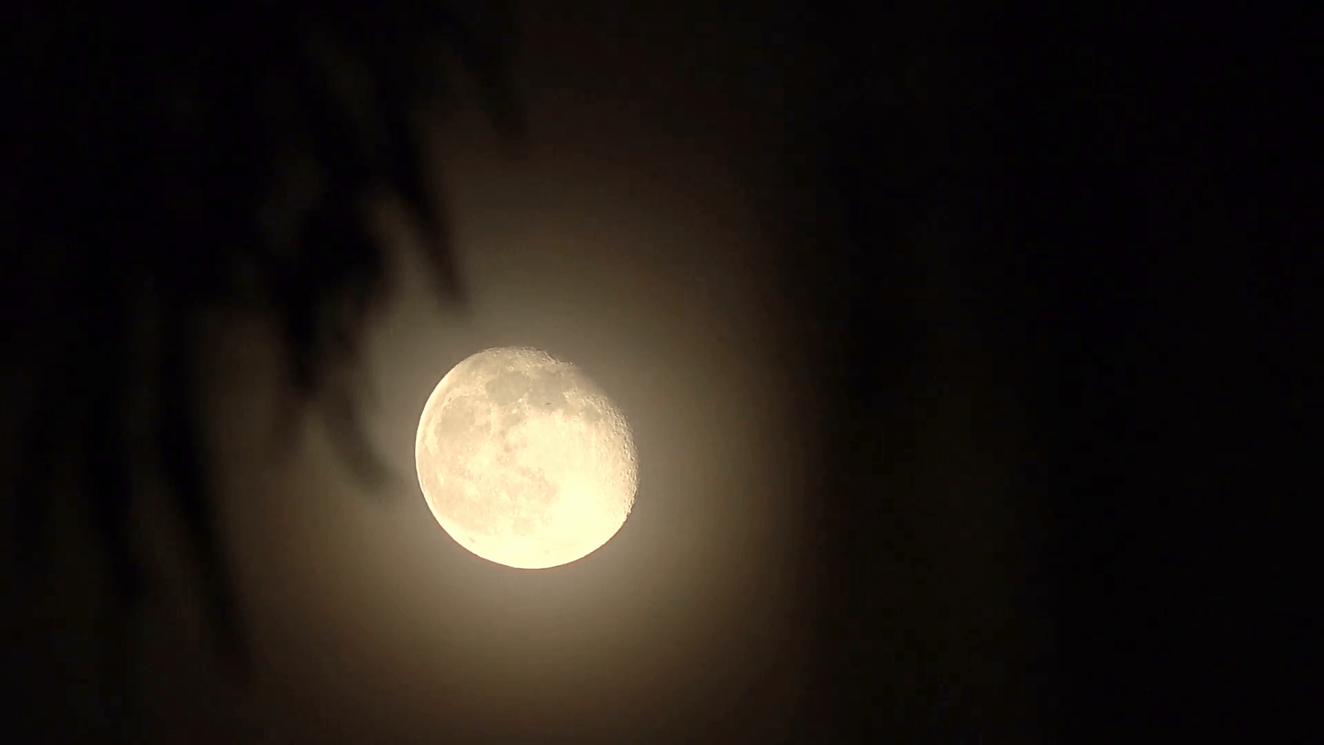 HD tight waning gibbous moon super detail v2 Stock Video Footage